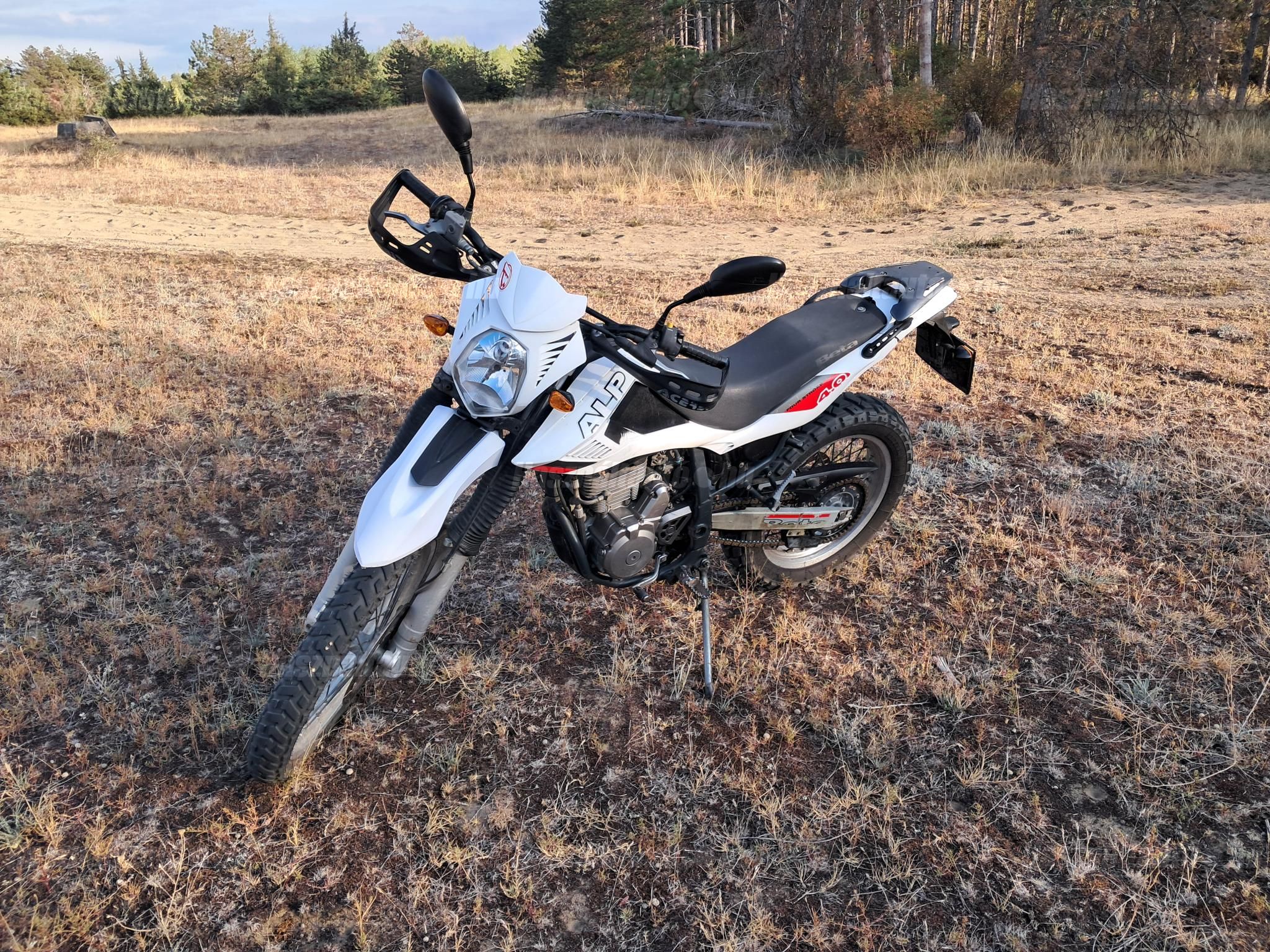 BETAMOTOR ALP 4.0 2008/7 - 1