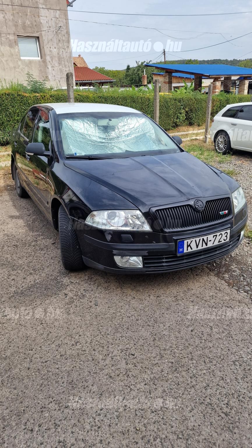 SKODA OCTAVIA 2007 - 1