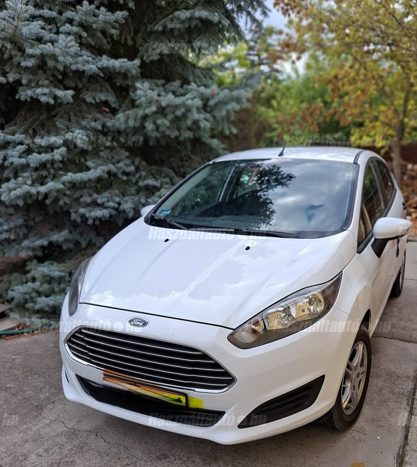 FORD FIESTA 2014/4 - 1