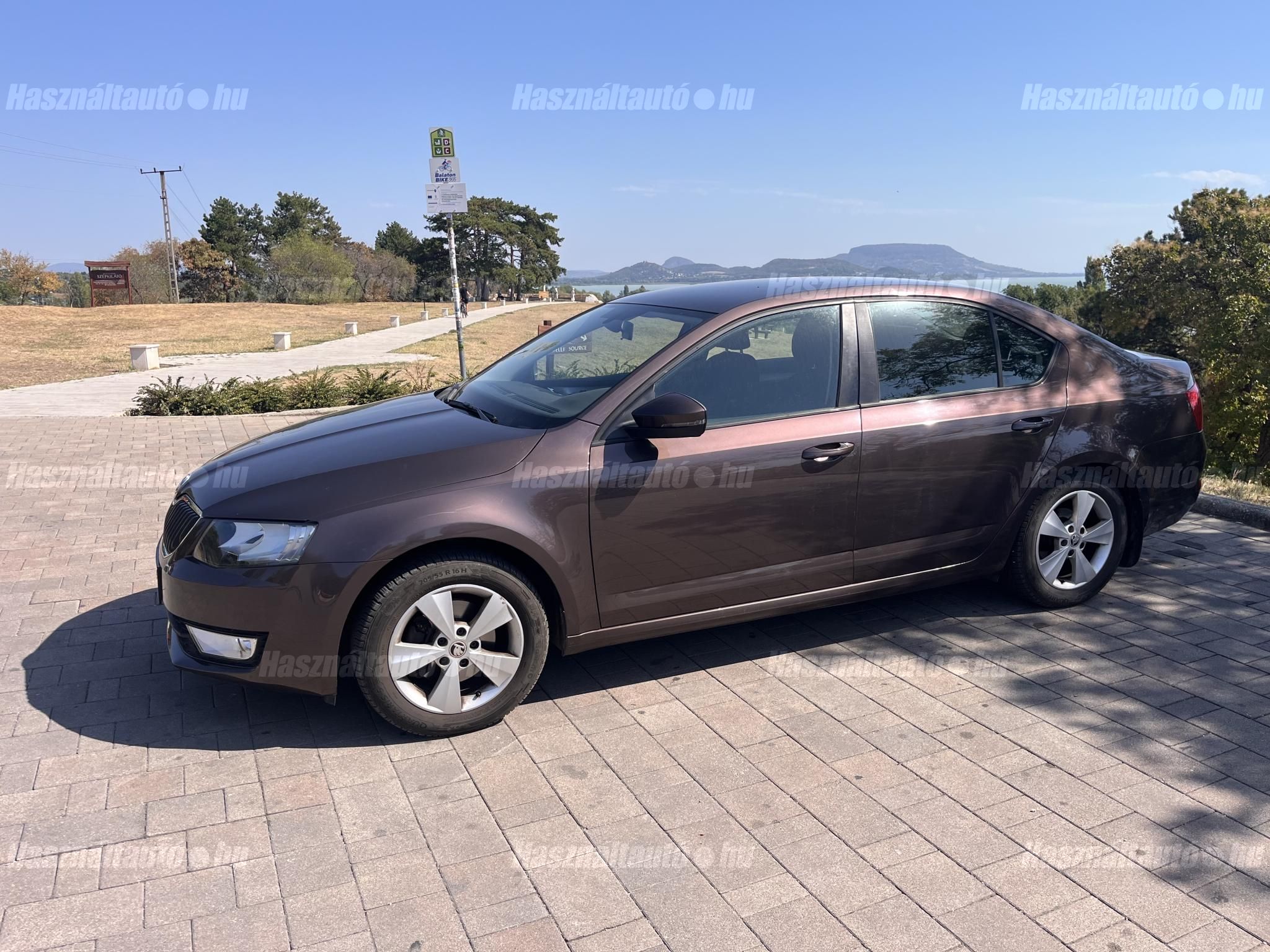 SKODA OCTAVIA 2013/8 - 1