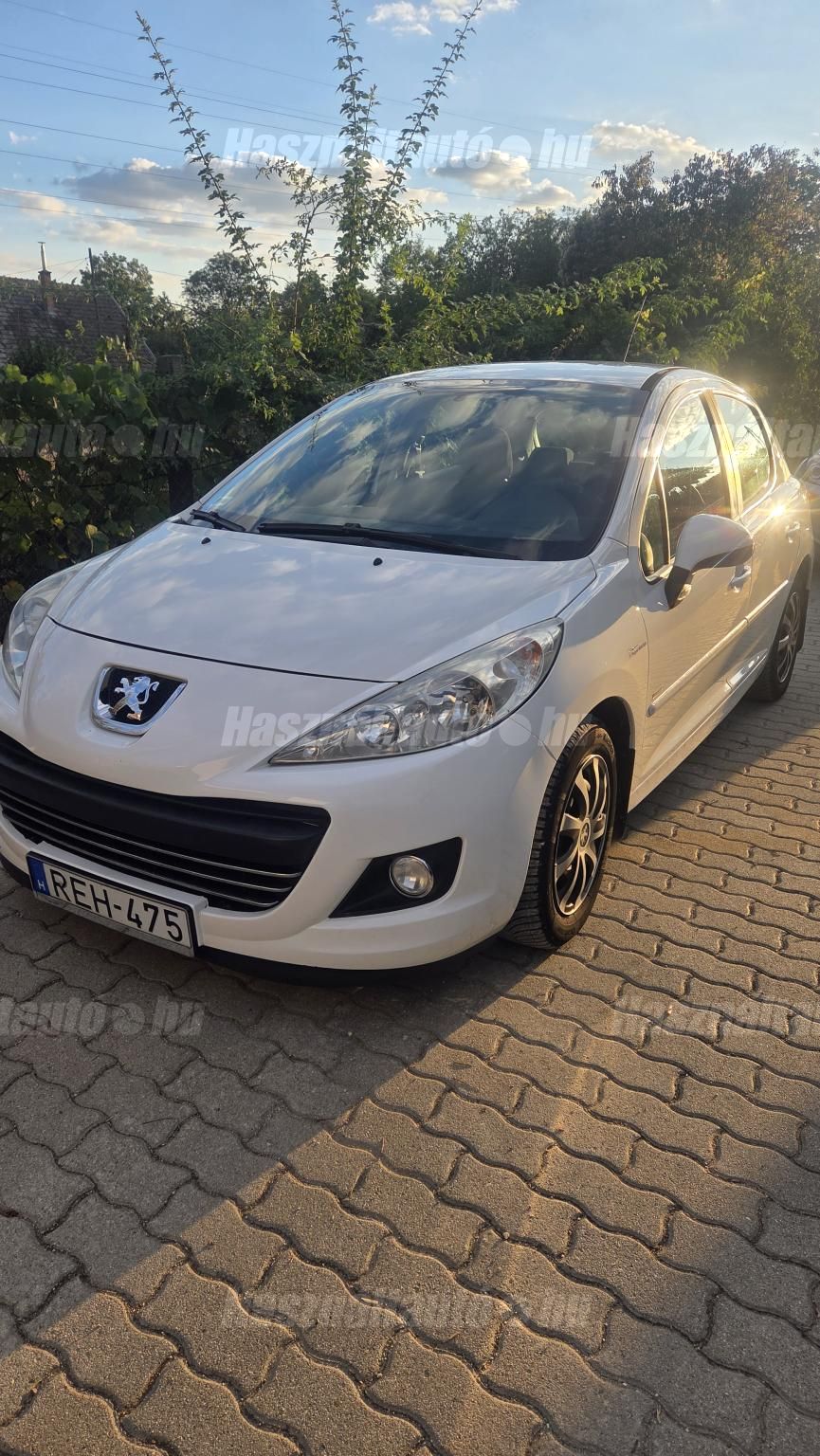 PEUGEOT 207 2010/10 - 1