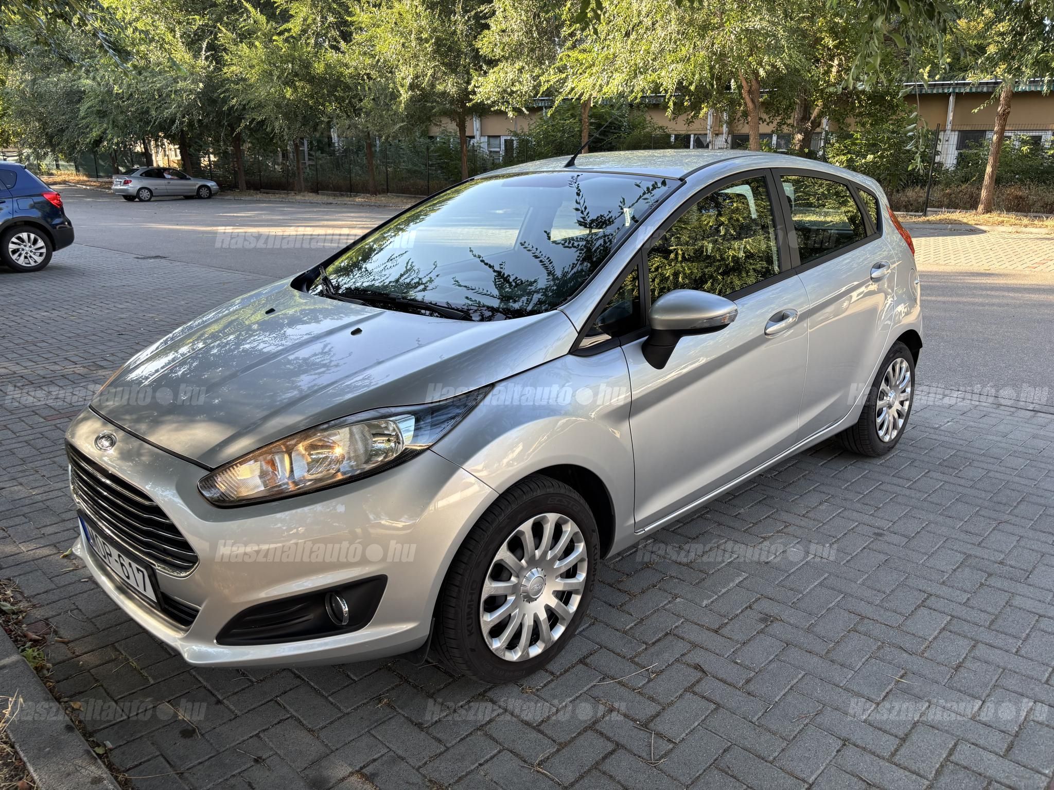 FORD FIESTA 2014/2 - 1