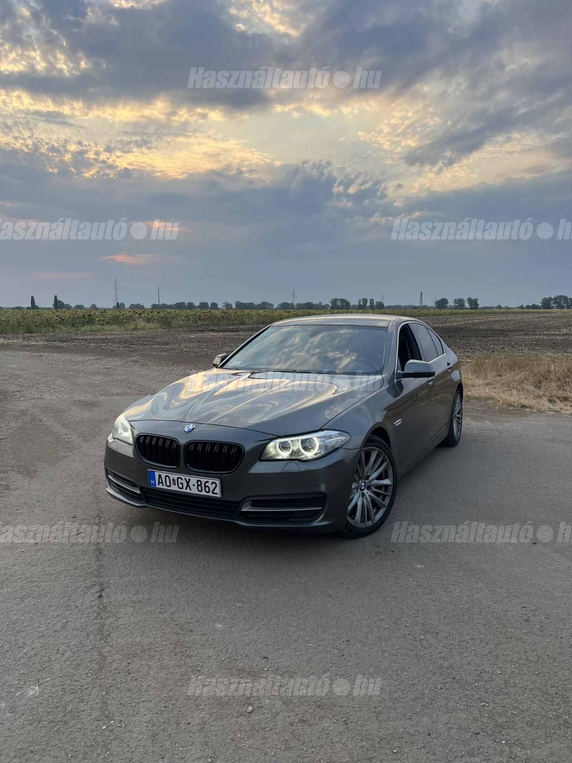 BMW 520 2013/11 - 1