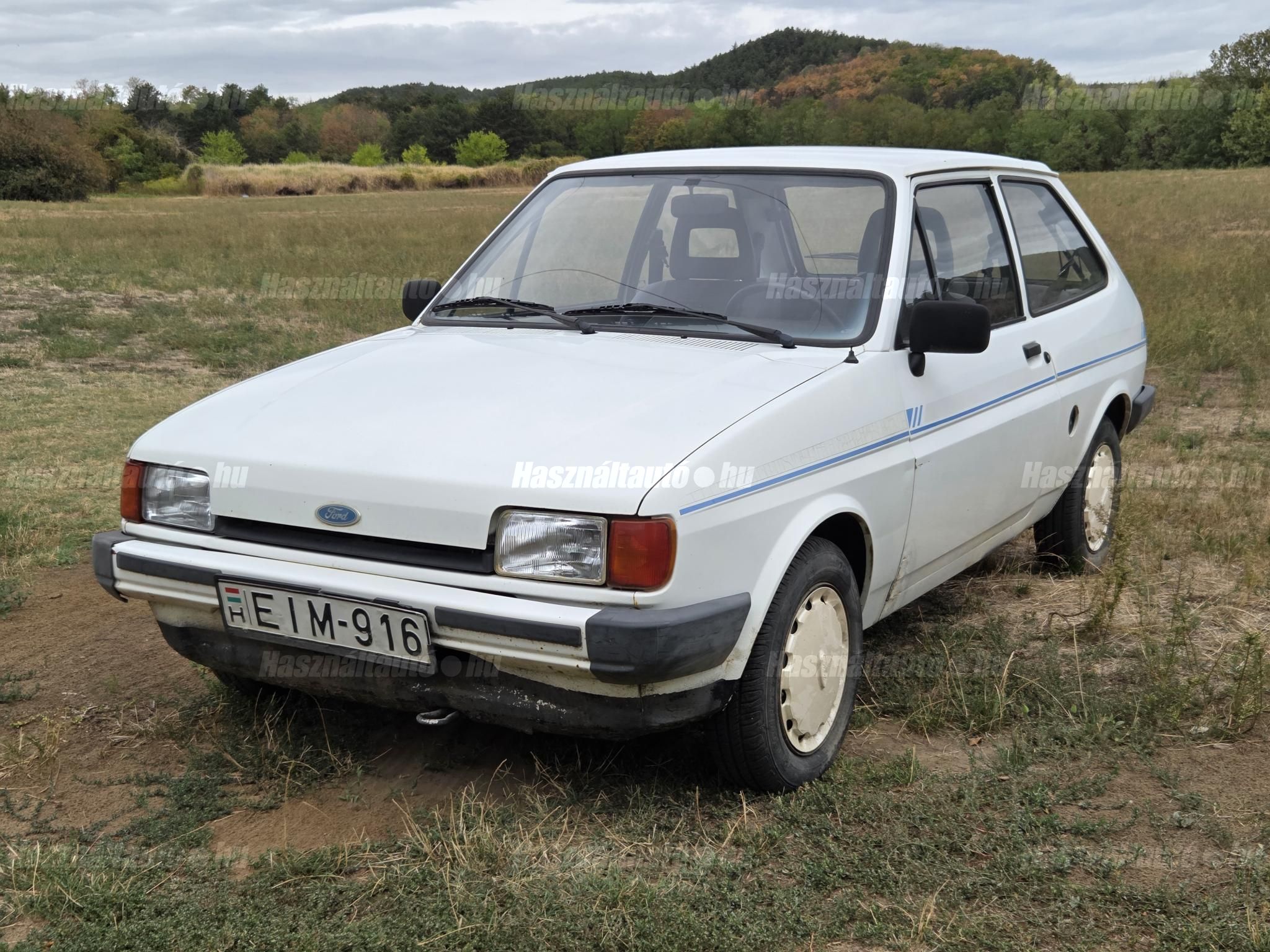 FORD FIESTA 1988 - 1