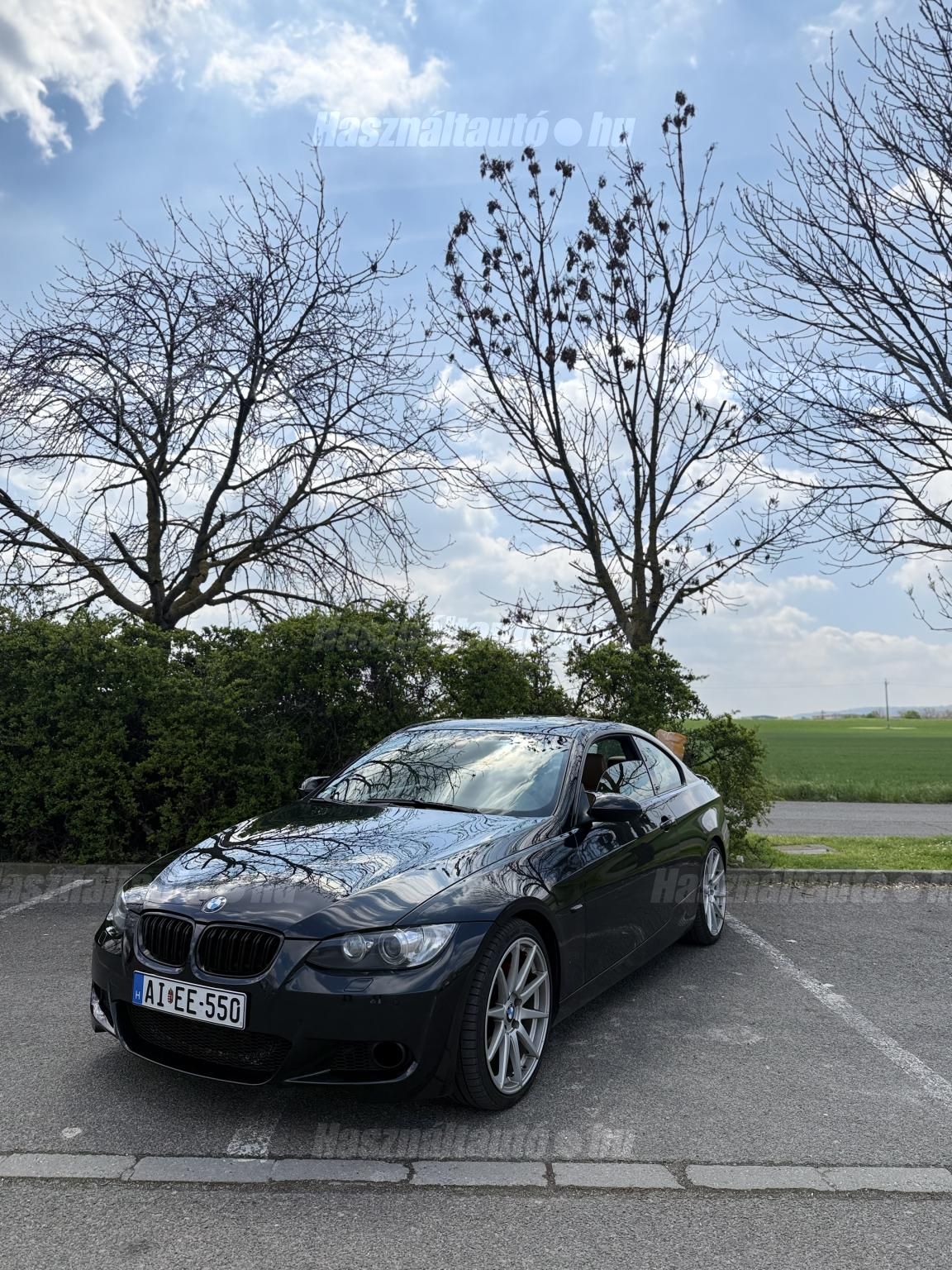 BMW 330 2007/12 - 1