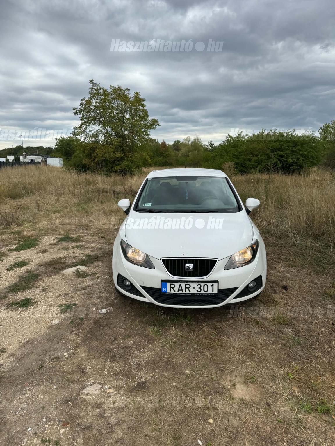 SEAT IBIZA 2012/1 - 1