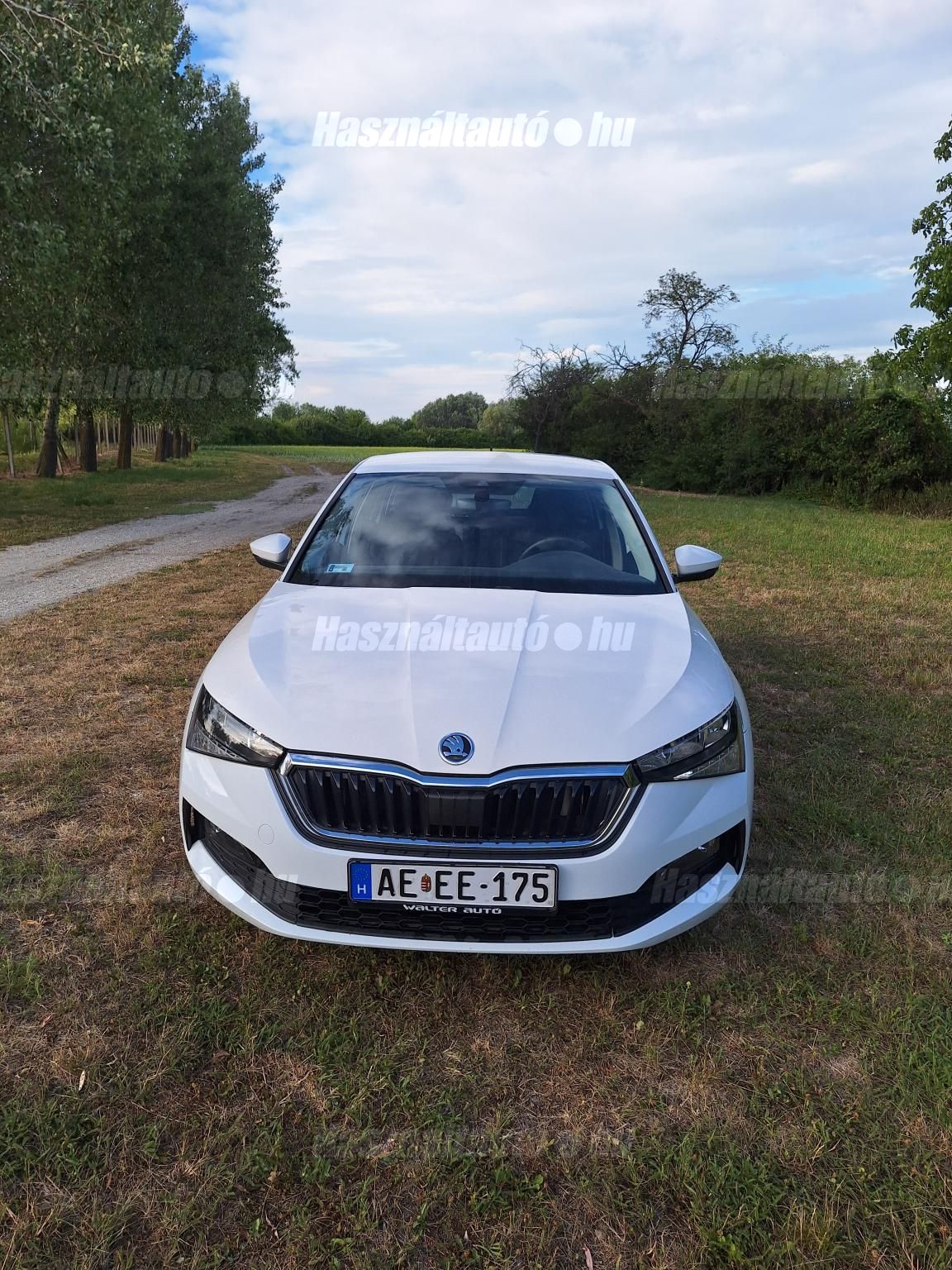 SKODA SCALA 2023/9 - 1