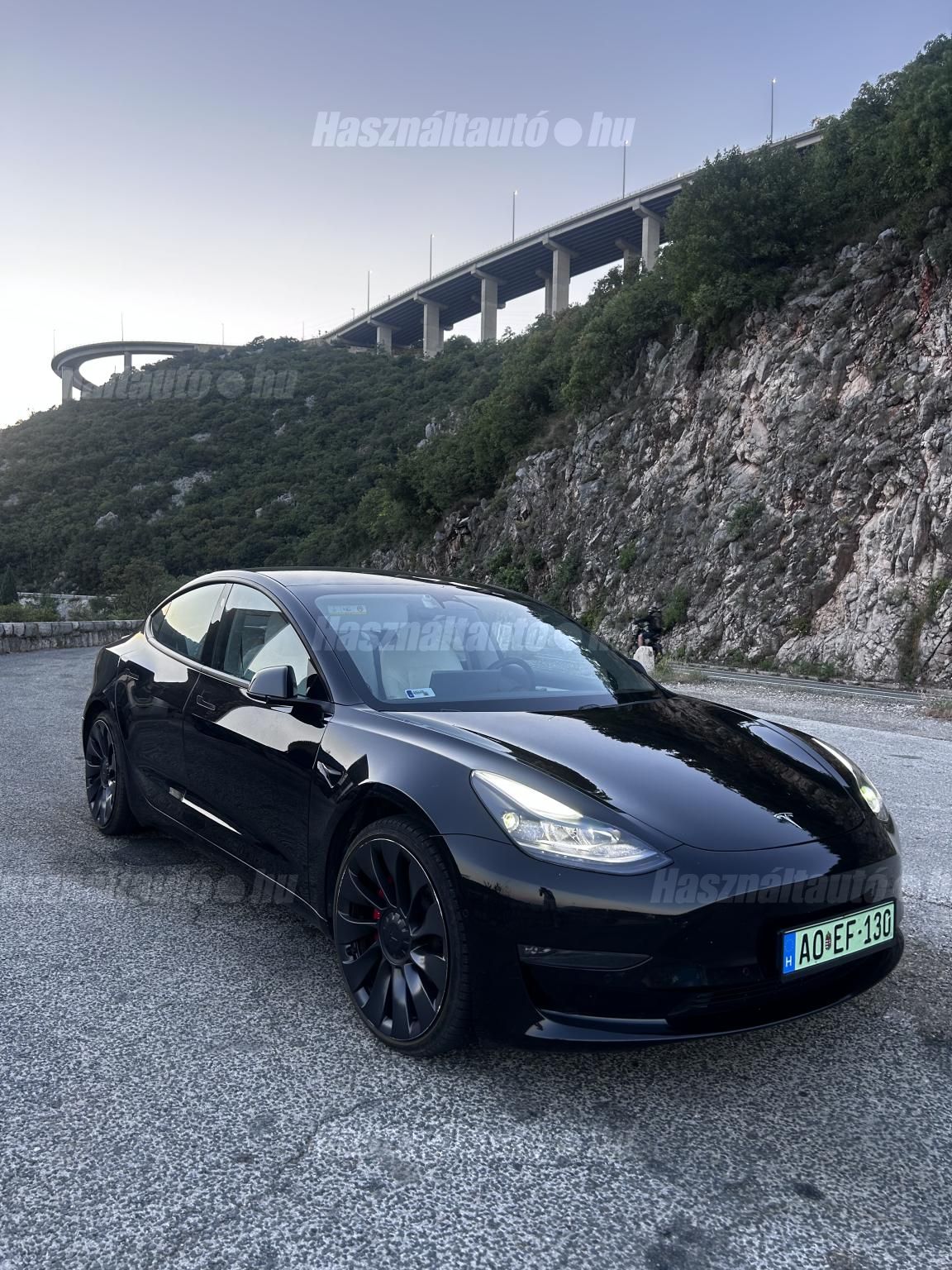 TESLA MODEL 3 2021/11 - 1