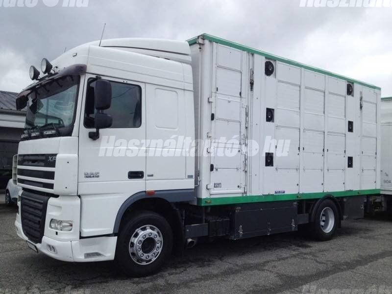 DAF 2008/1 - 1