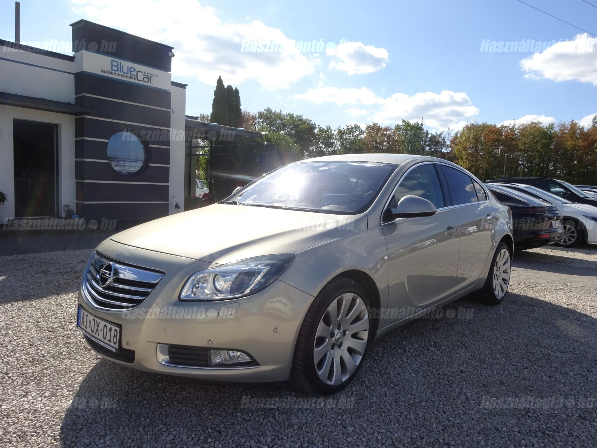OPEL INSIGNIA 2010/8 - 1