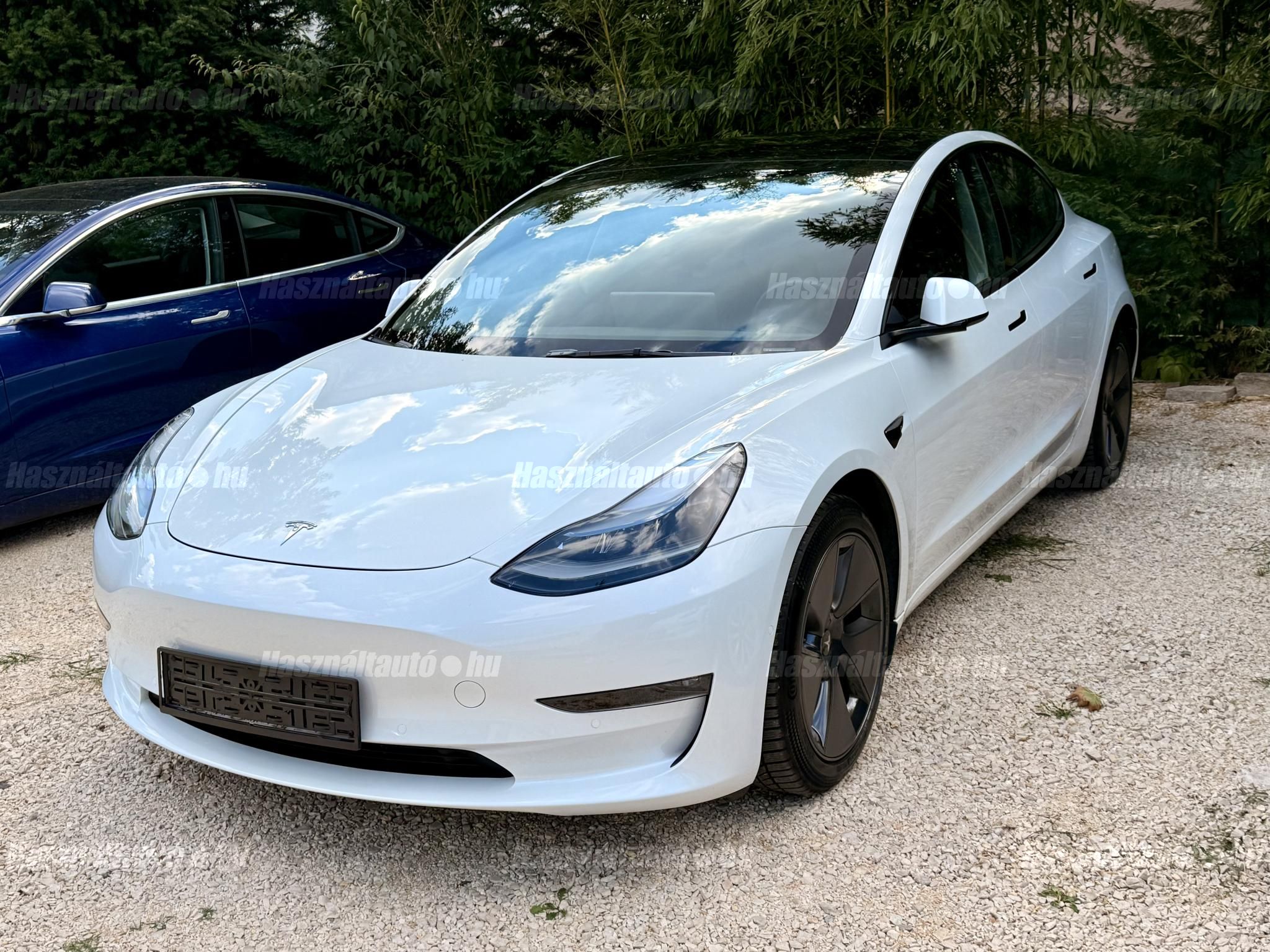 TESLA MODEL 3 2021/9 - 1