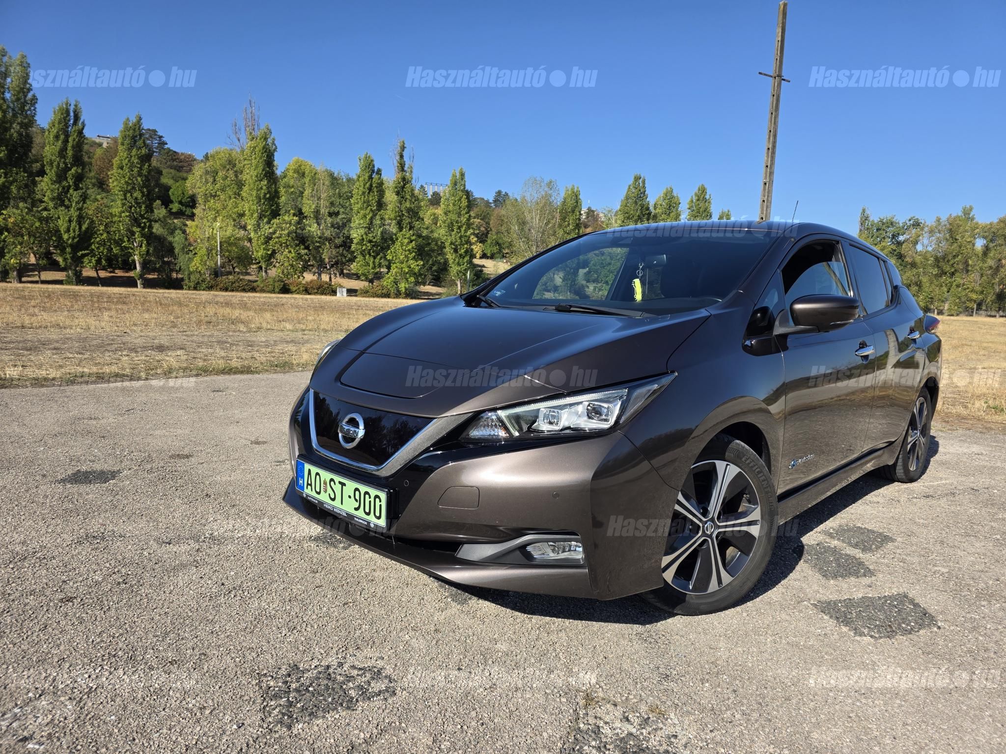 NISSAN LEAF 2019/2 - 1