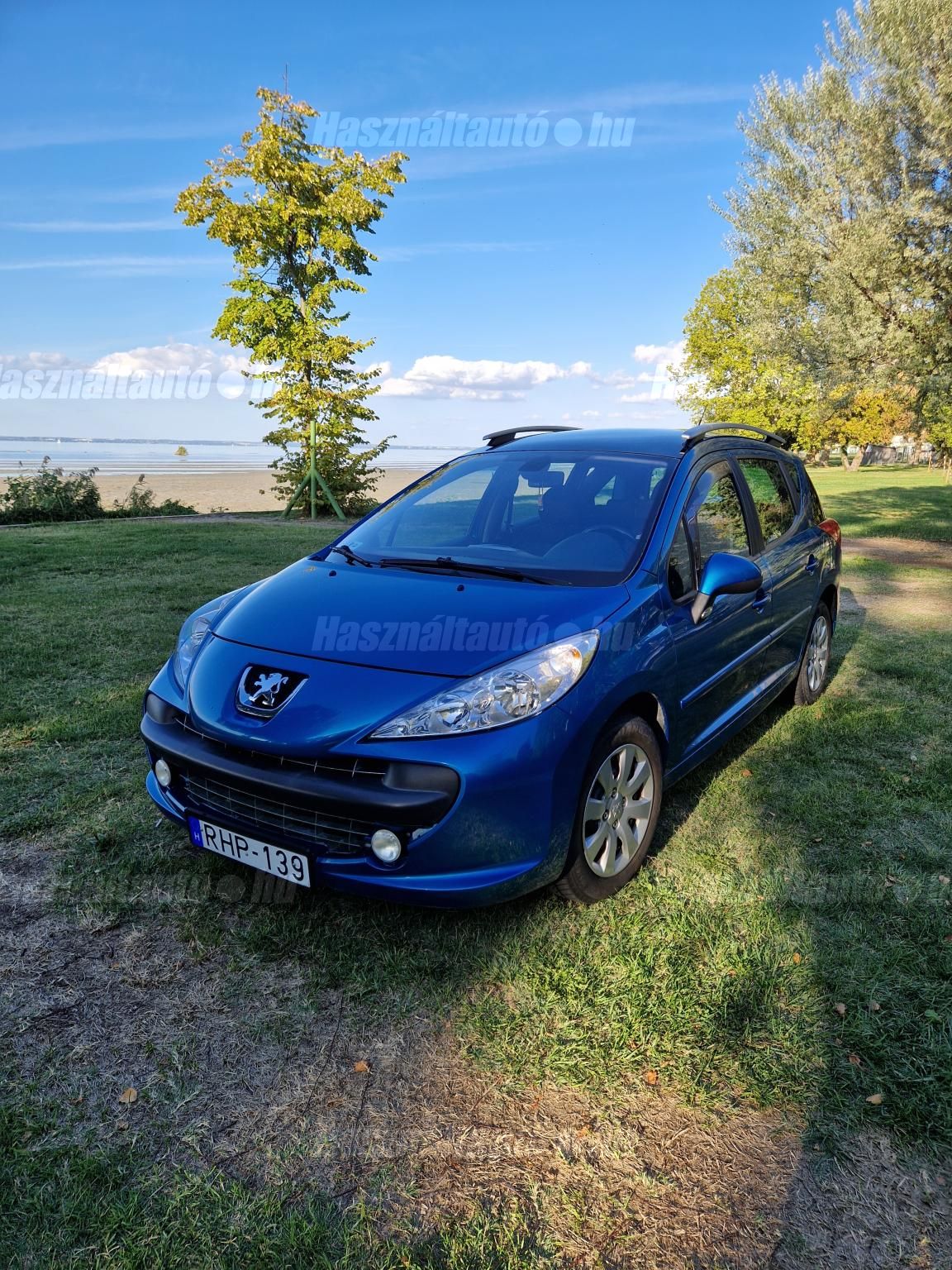 PEUGEOT 207 2009/6 - 1