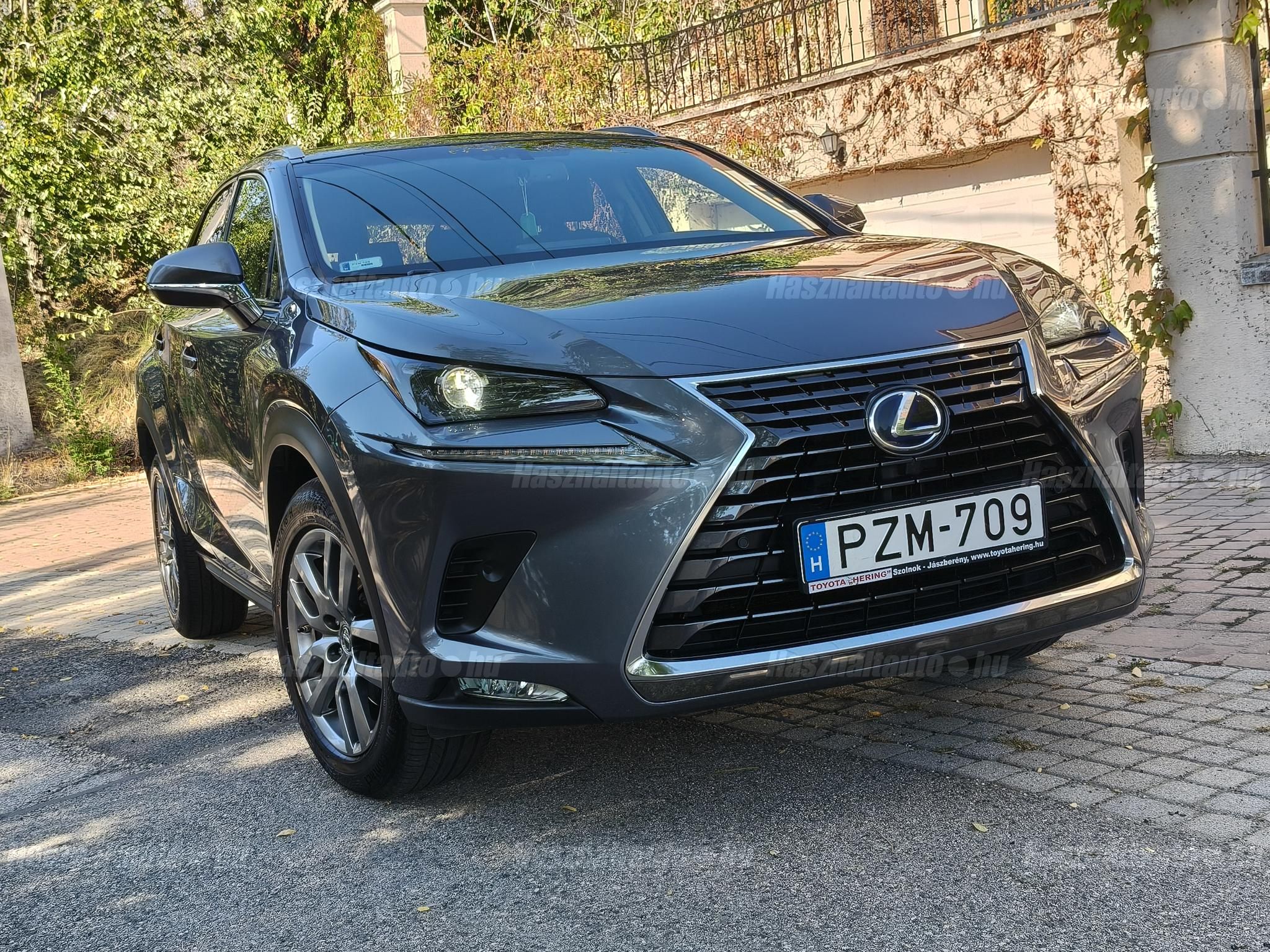 LEXUS NX 2017/6 - 1