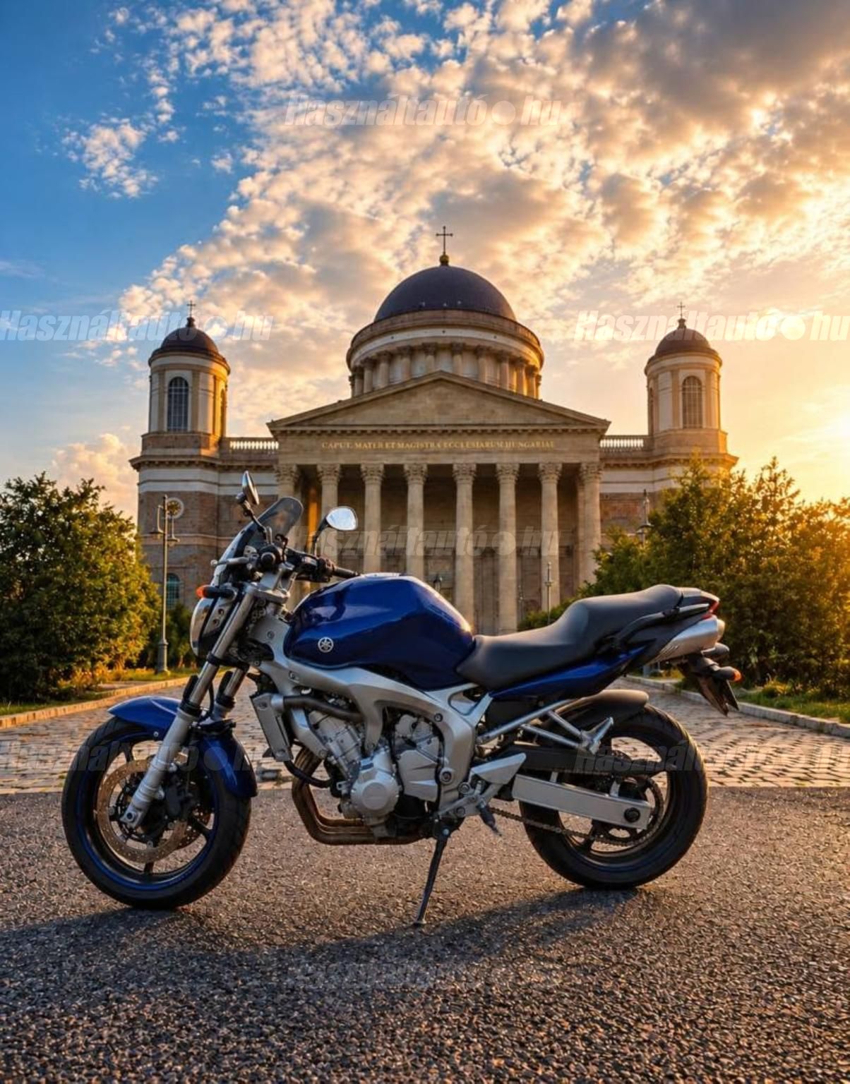 YAMAHA FZ6-N 2005 - 1