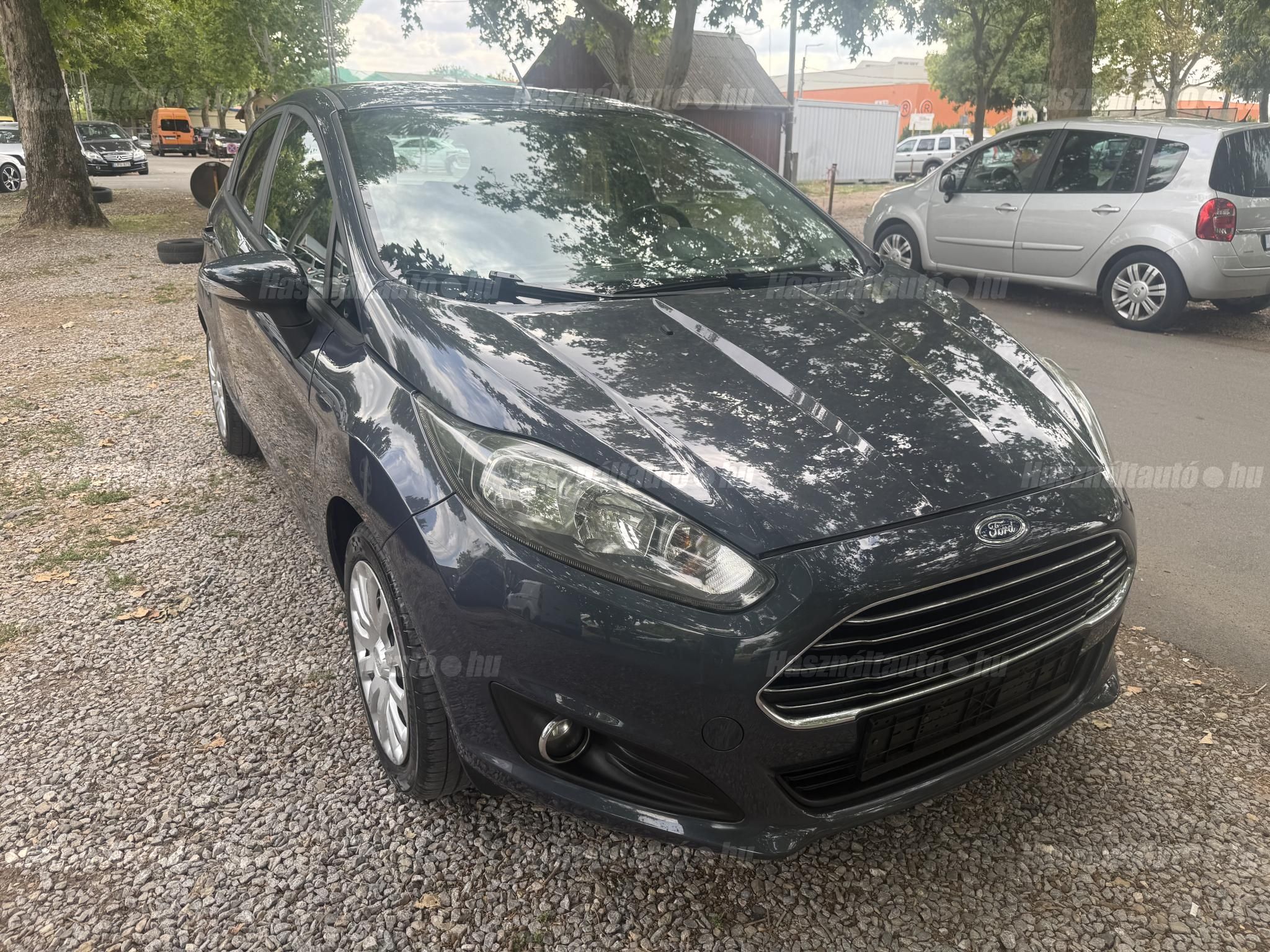 FORD FIESTA 2015/6 - 1