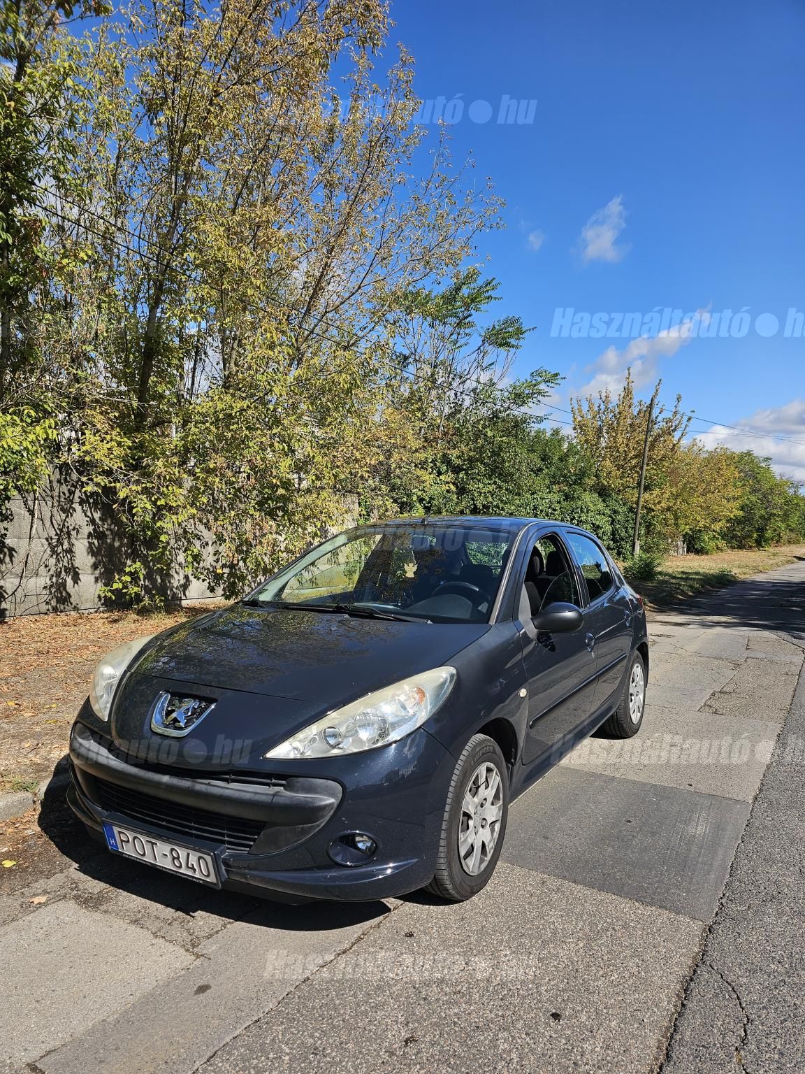 PEUGEOT 206 2010/2 - 1