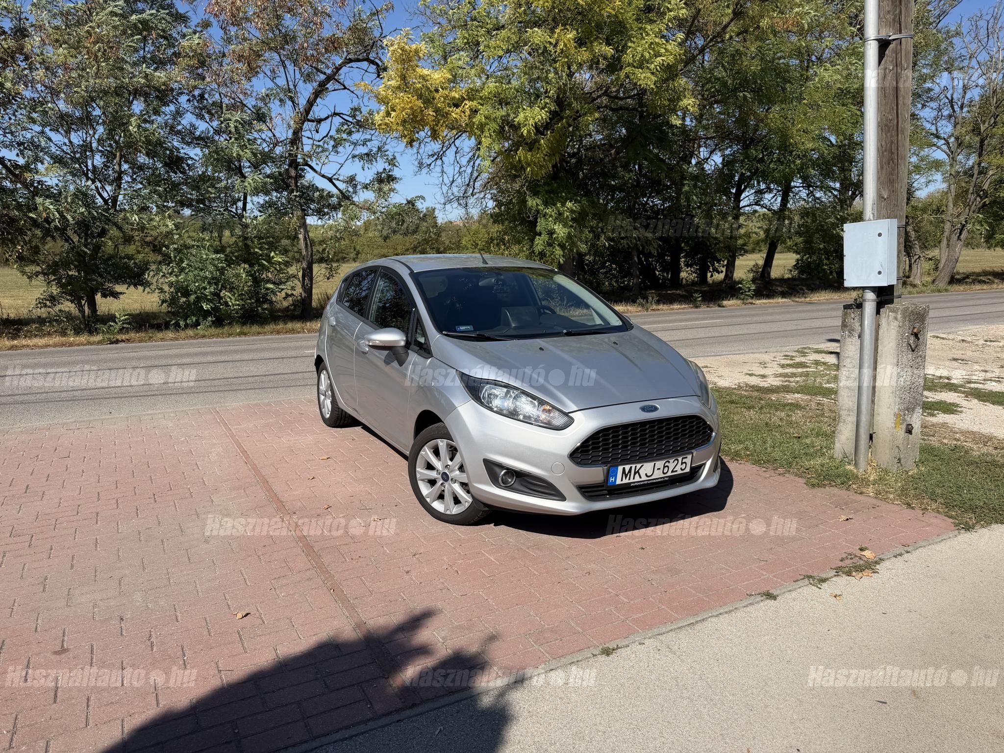 FORD FIESTA 2013/6 - 1