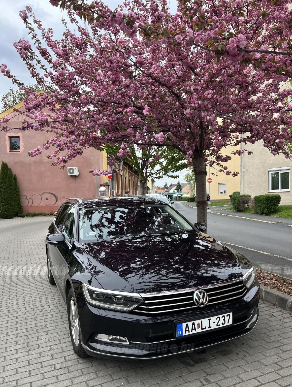 VOLKSWAGEN PASSAT VIII 2019/6 - 1
