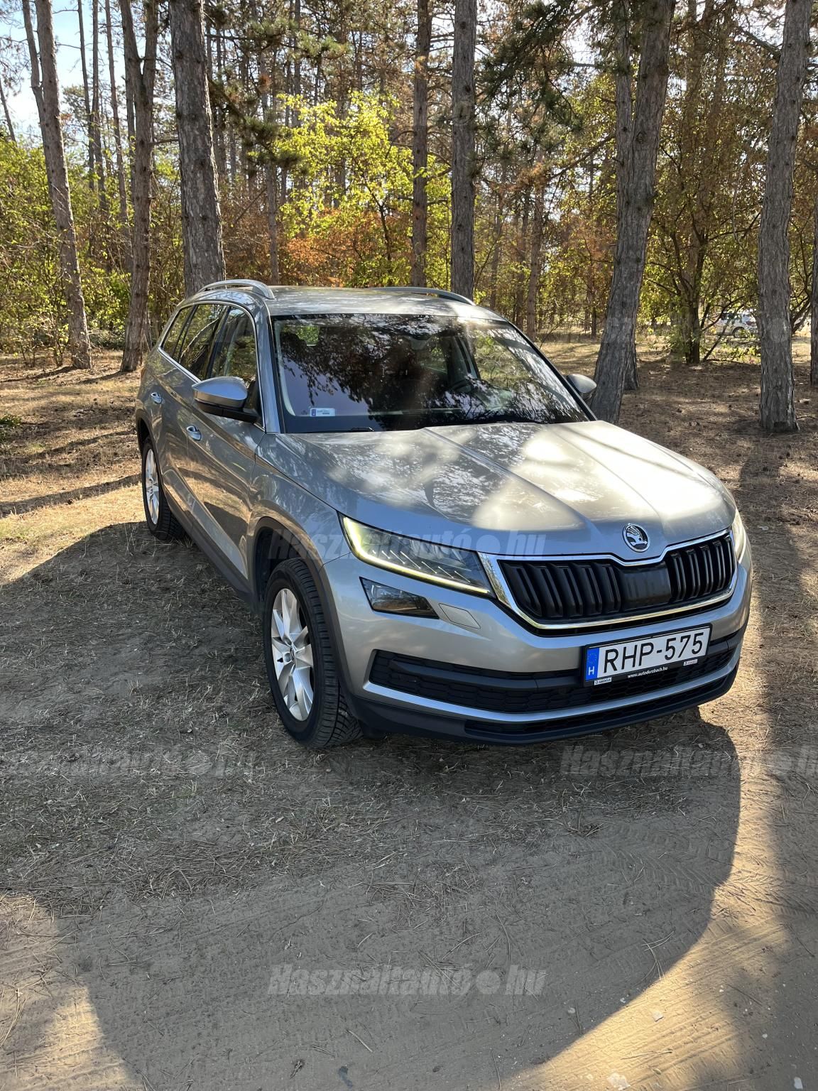 SKODA KODIAQ 2019/4 - 1