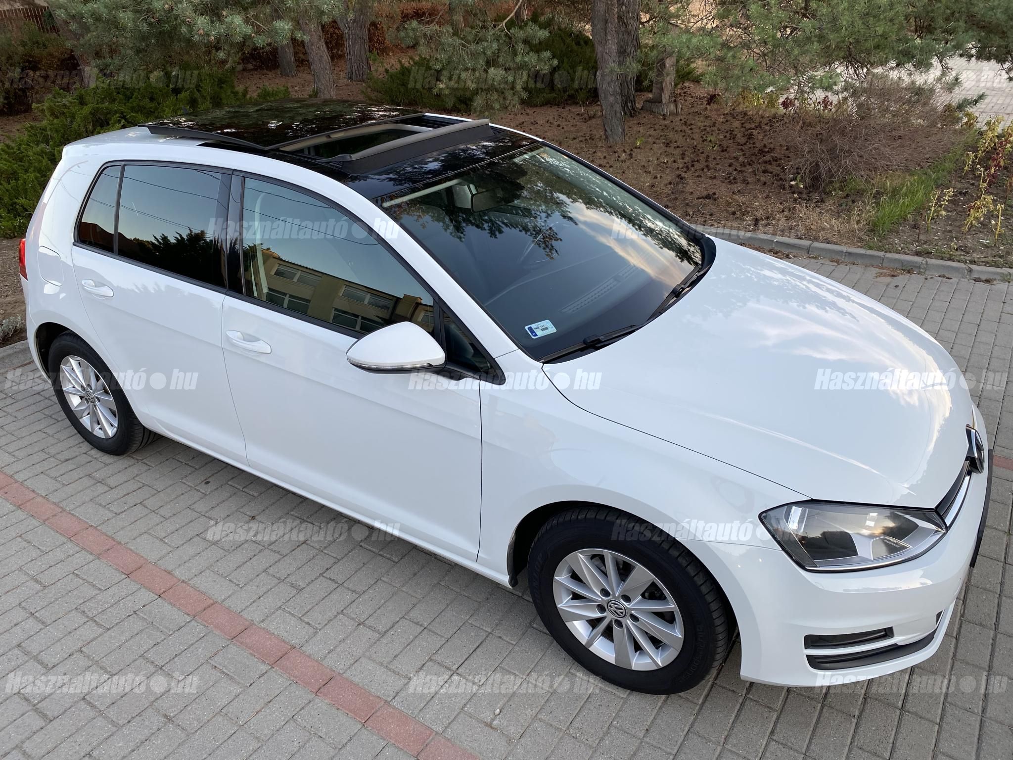 VOLKSWAGEN GOLF VII 2016/11 - 1