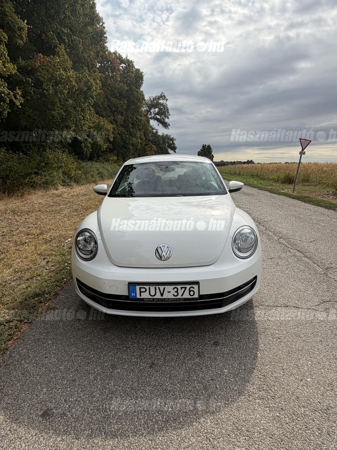 VOLKSWAGEN BEETLE 2013 - 1