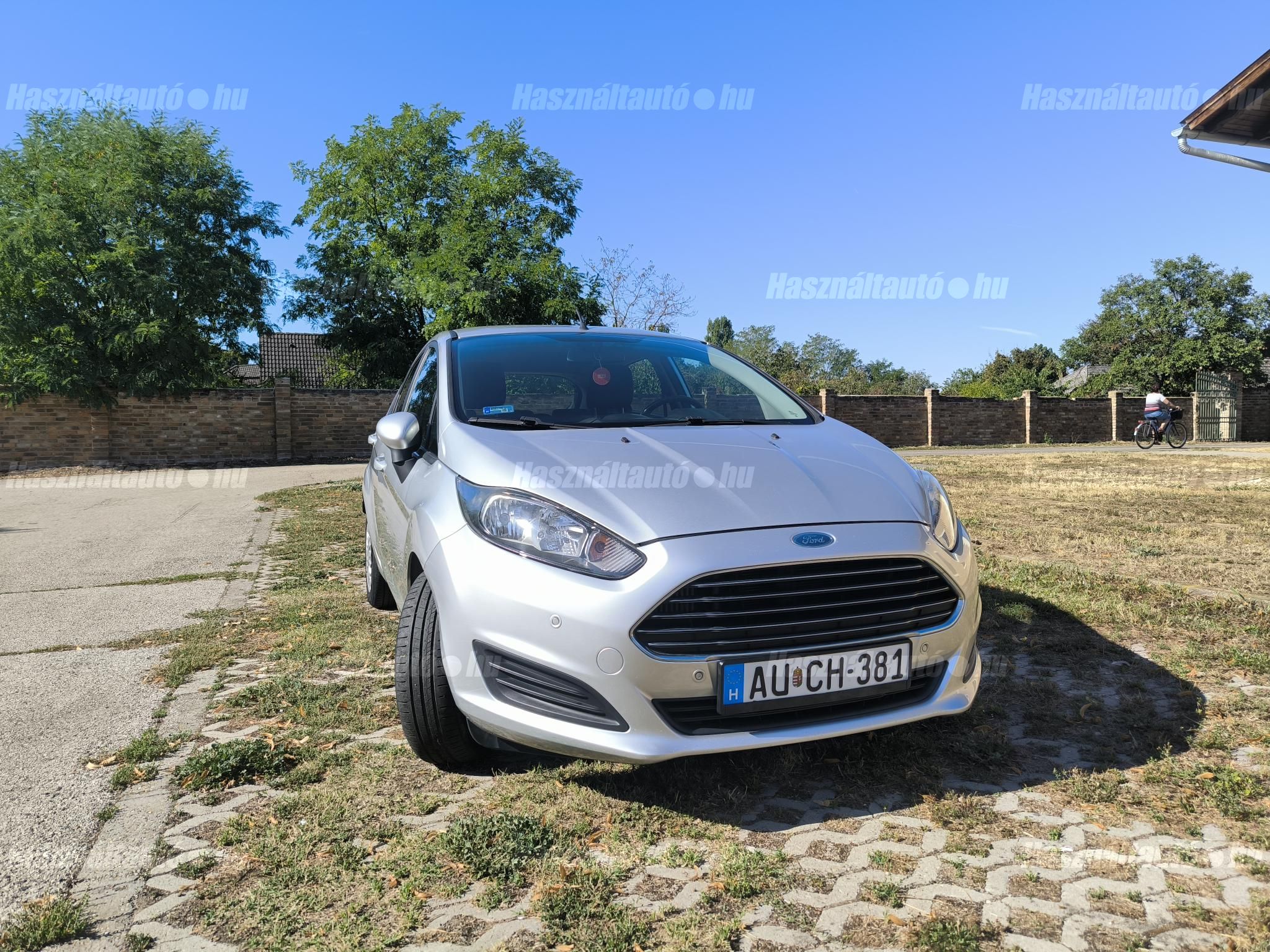 FORD FIESTA 2014/3 - 1