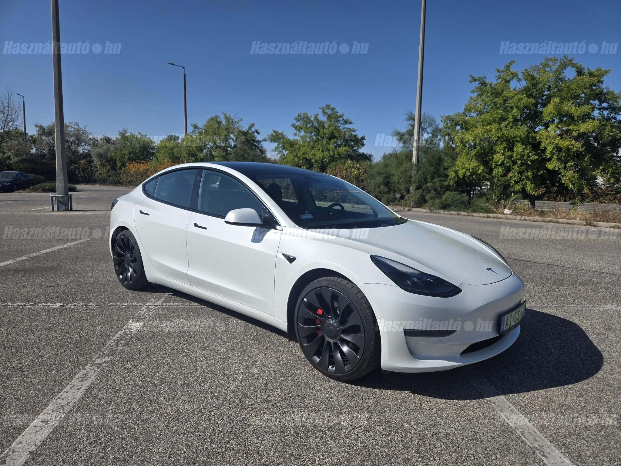TESLA MODEL 3 2021/3 - 1