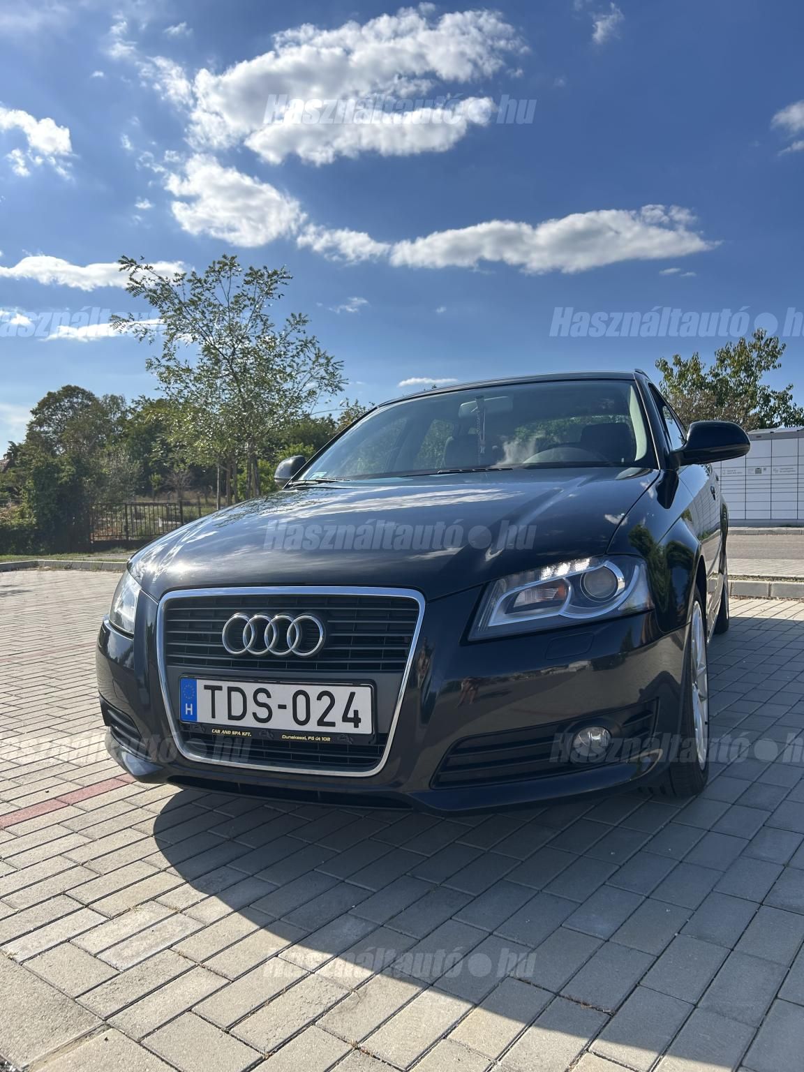AUDI A3 2010/3 - 1