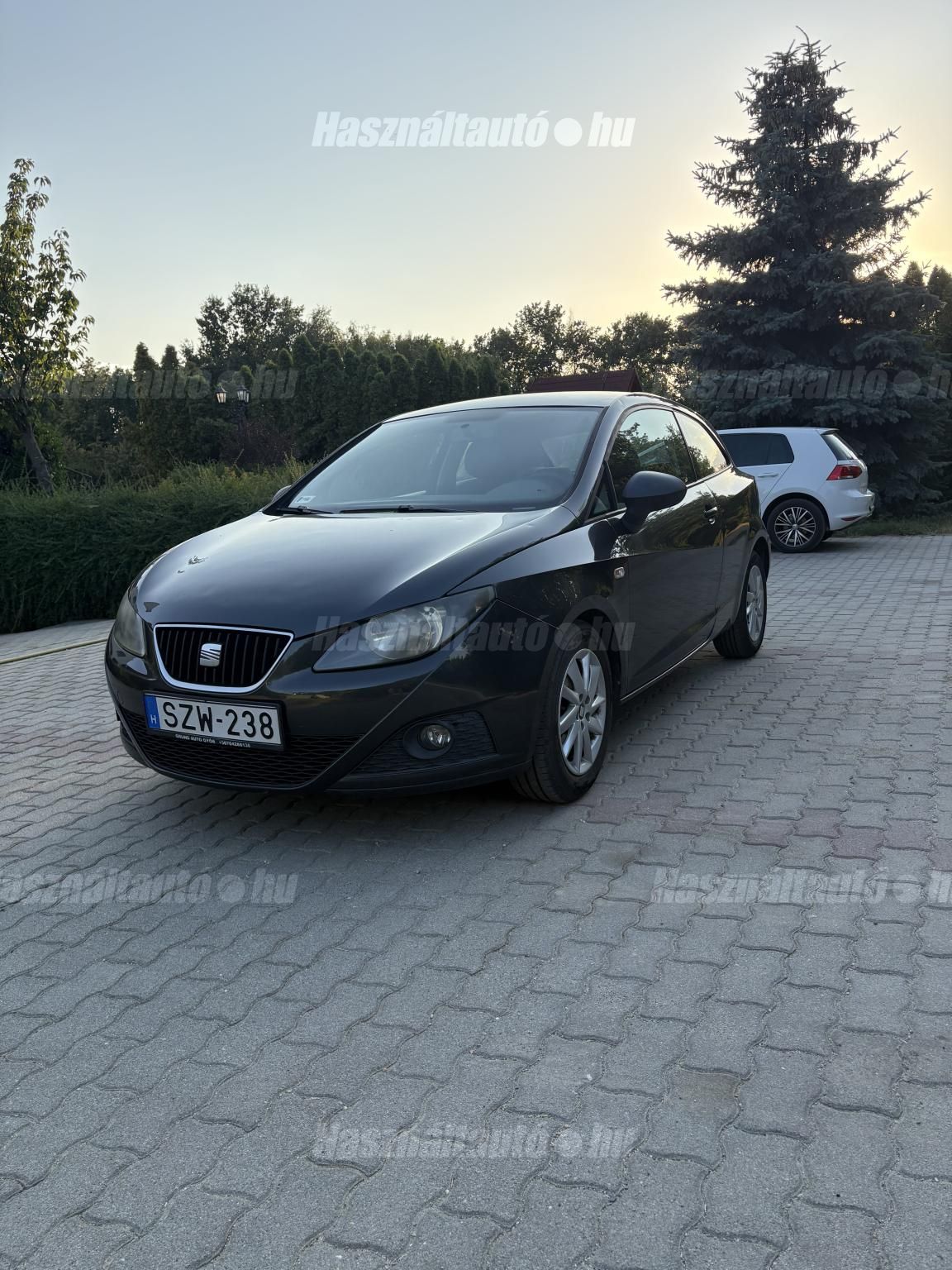 SEAT IBIZA 2010/8 - 1