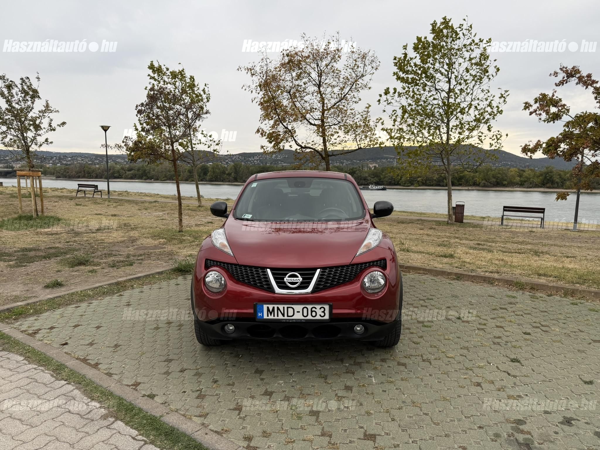 NISSAN JUKE 2013 - 1