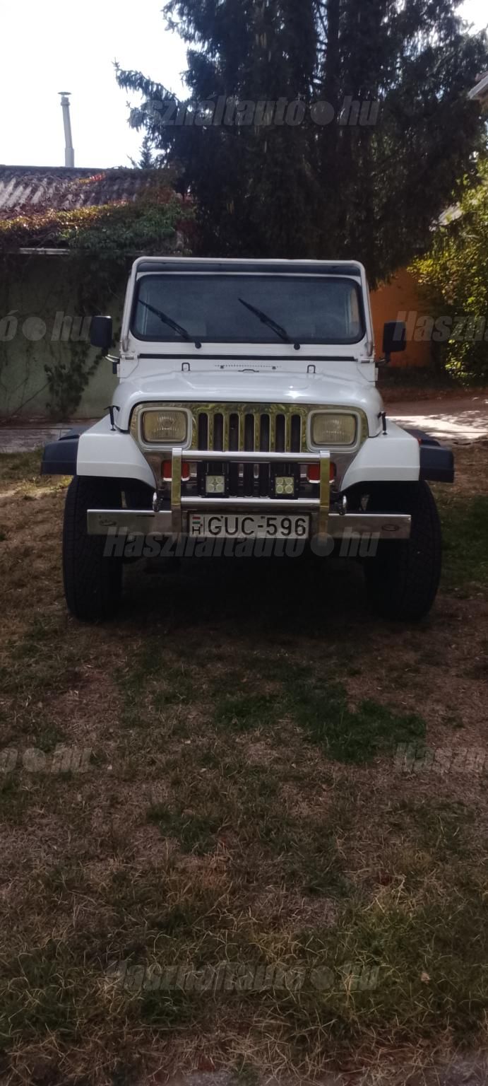 JEEP WRANGLER 1989/6 - 1