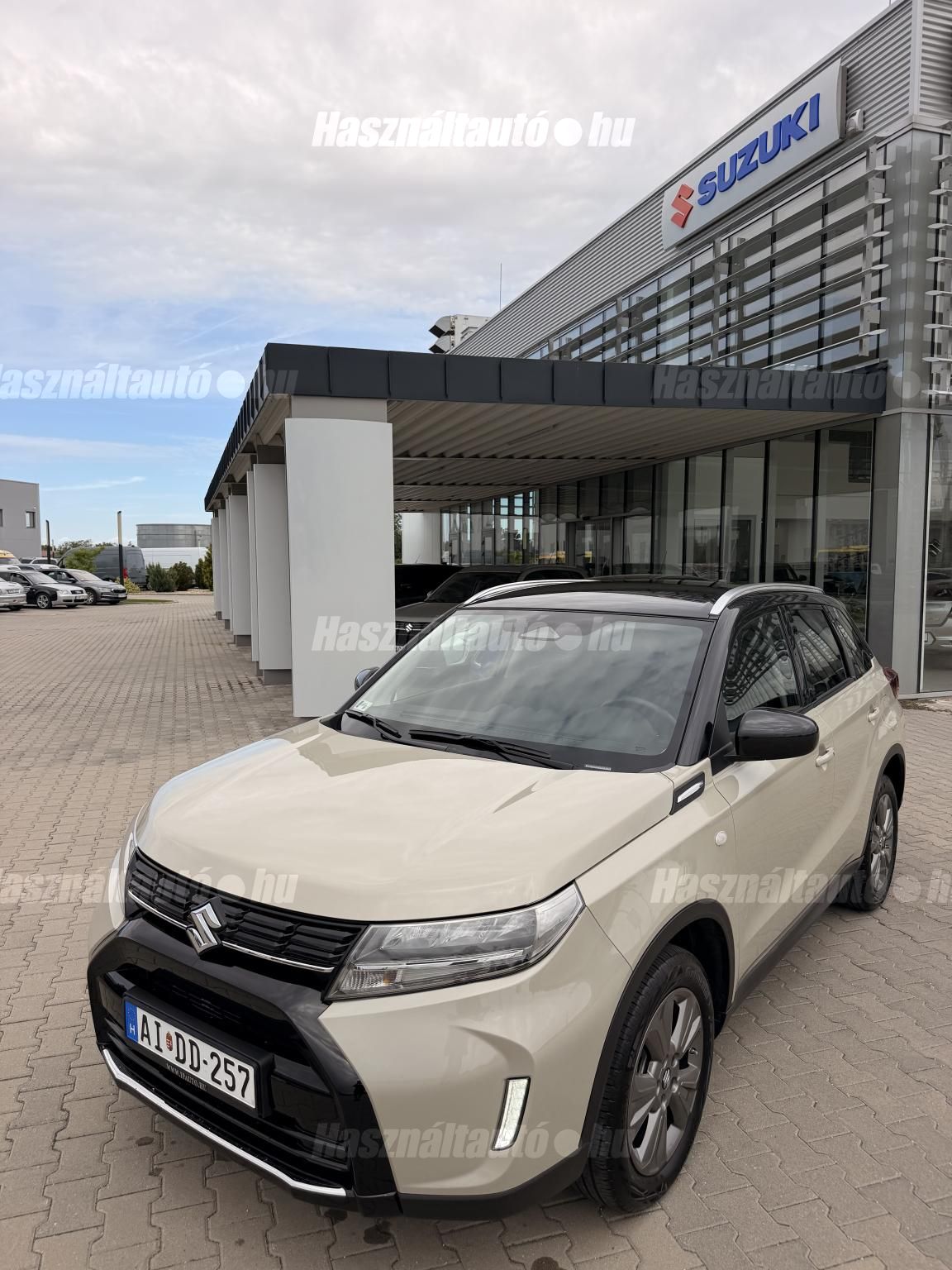 SUZUKI VITARA 2024/6 - 1