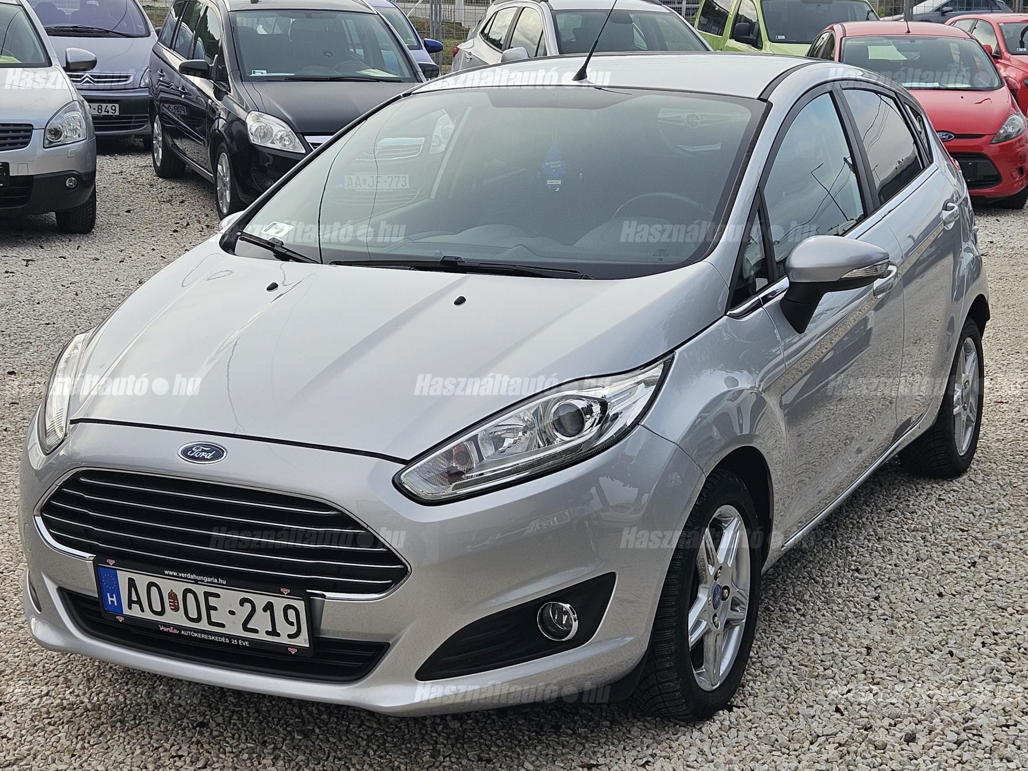 FORD FIESTA 2013/5 - 1