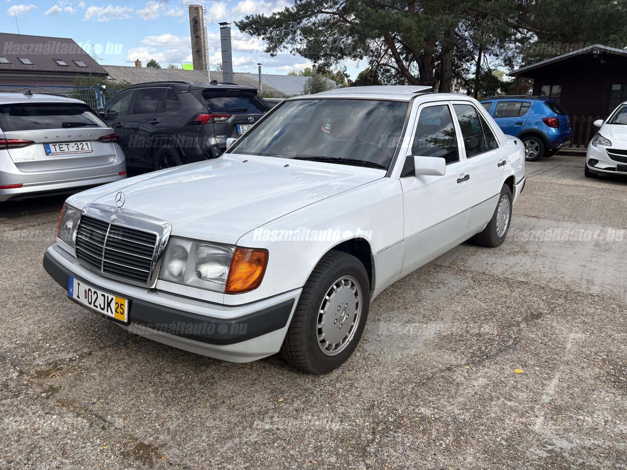 MERCEDES-BENZ W 124 1990/5 - 1