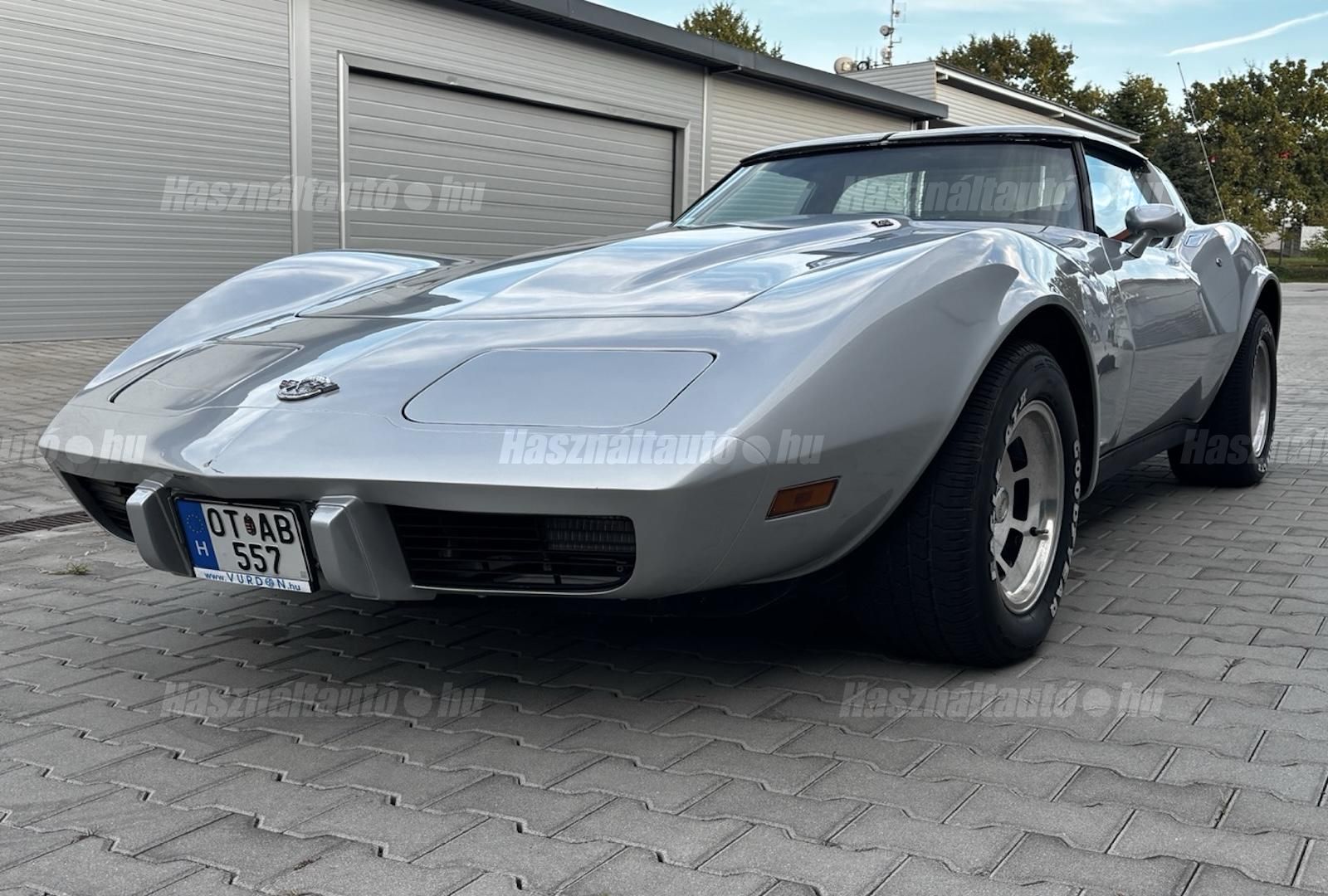 CHEVROLET CORVETTE 1976/1 - 1