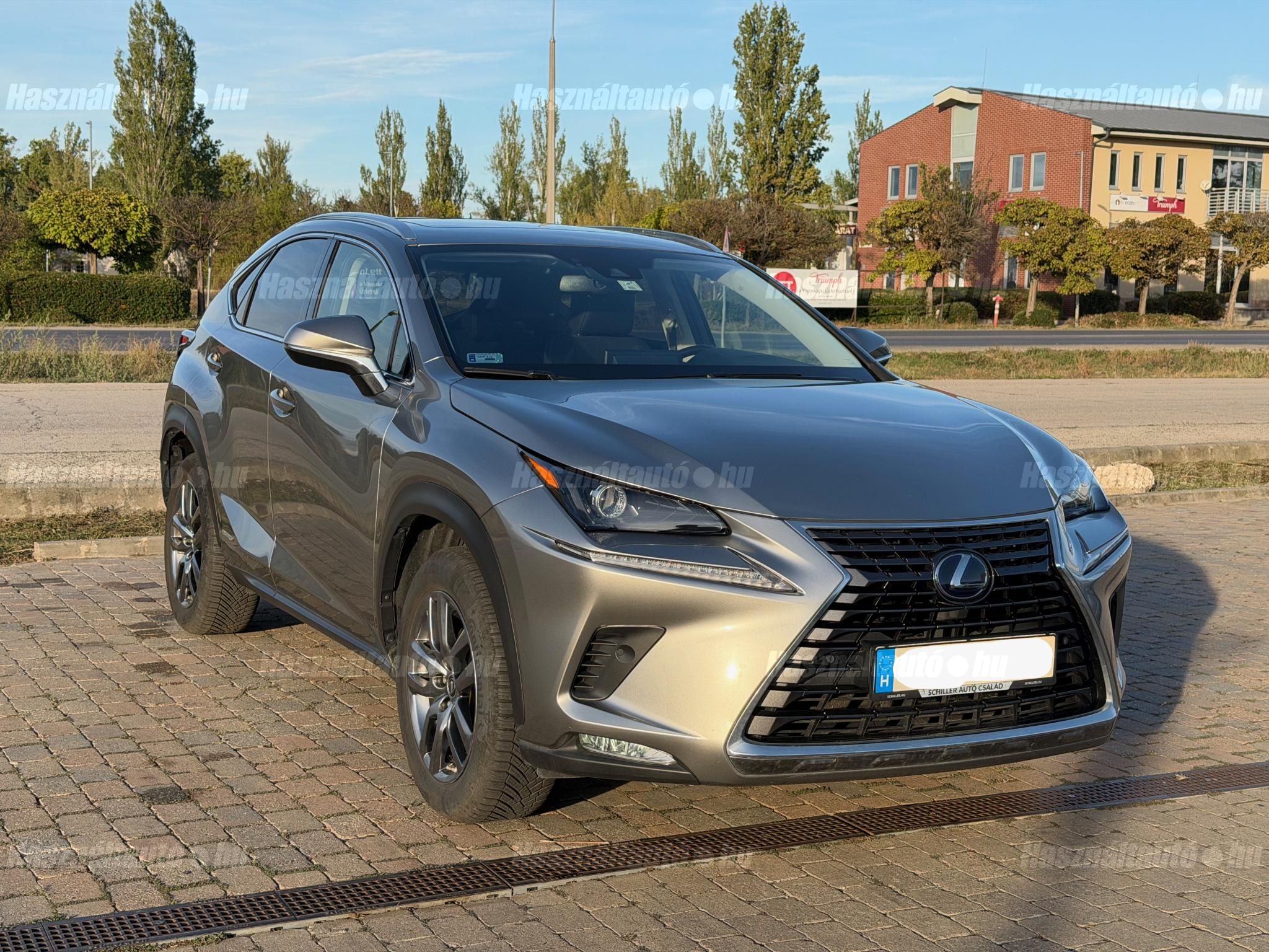 LEXUS NX 2020/4 - 1