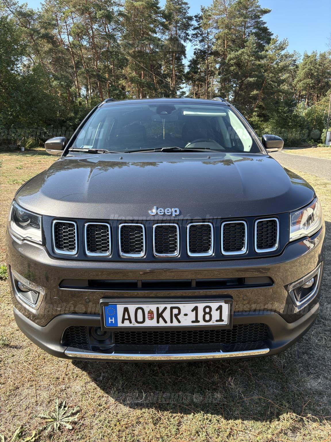 JEEP COMPASS 2019/8 - 1
