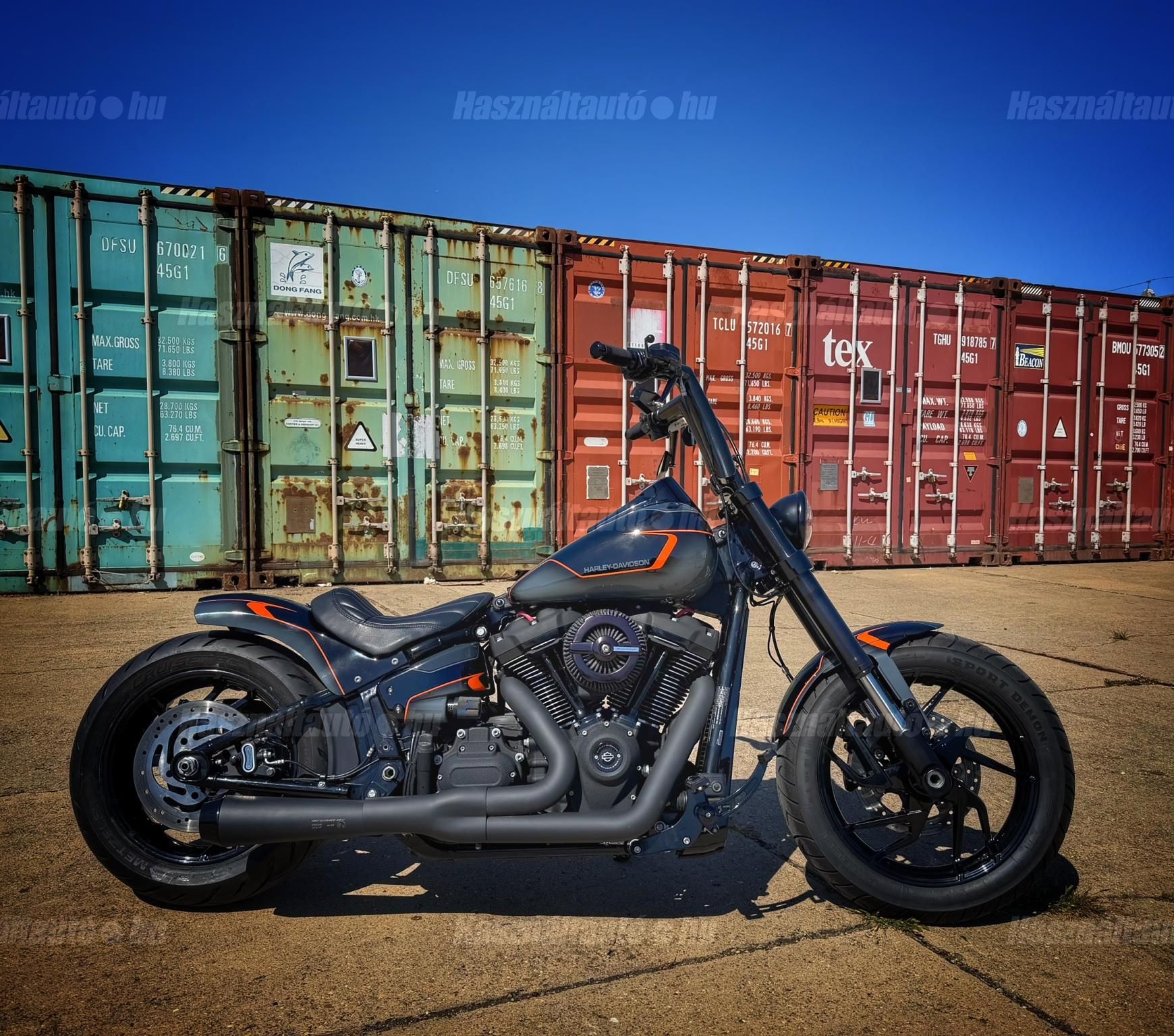 HARLEY-DAVIDSON SOFTAIL 2019/1 - 1