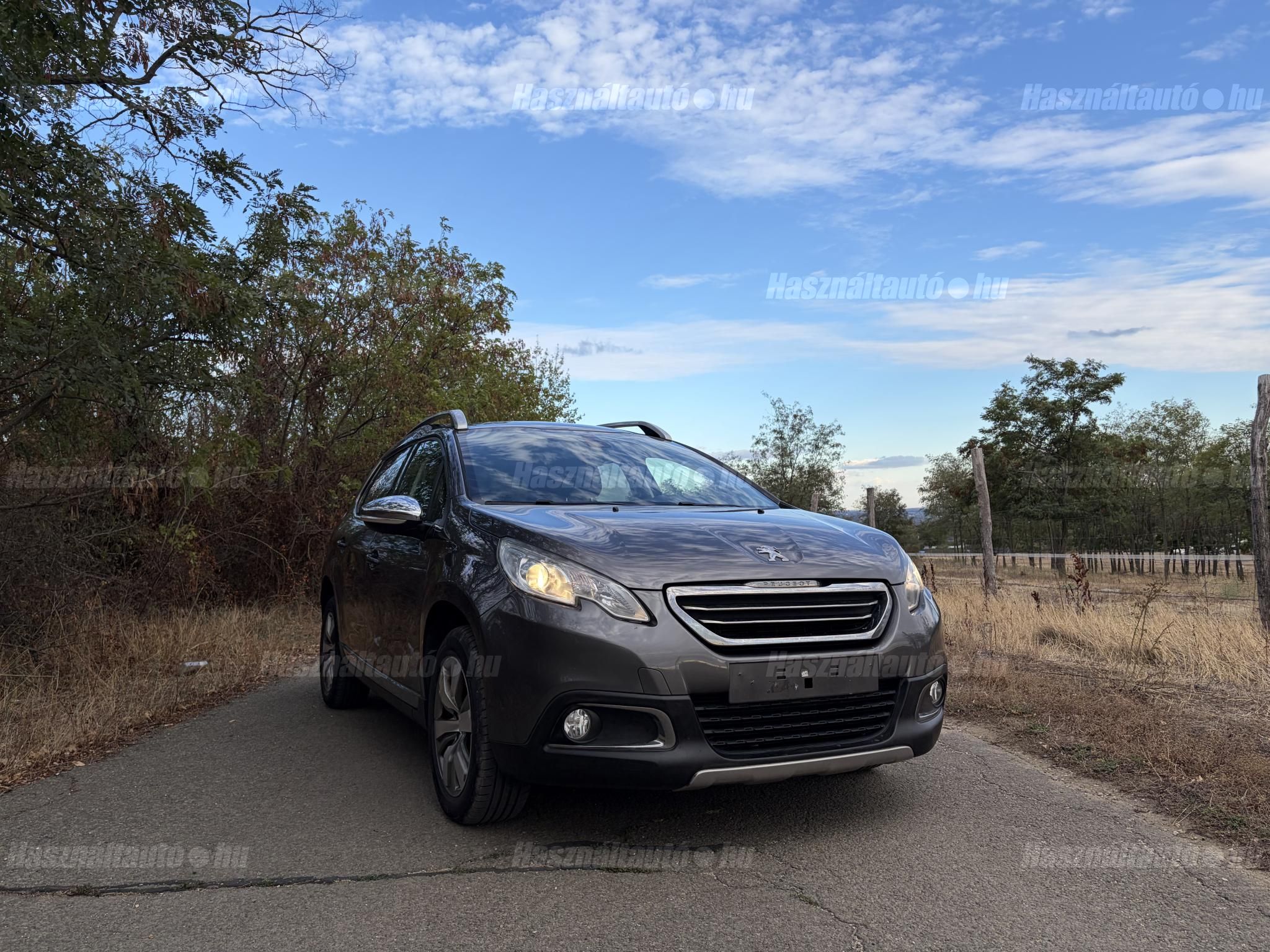 PEUGEOT 2008 2014/5 - 1