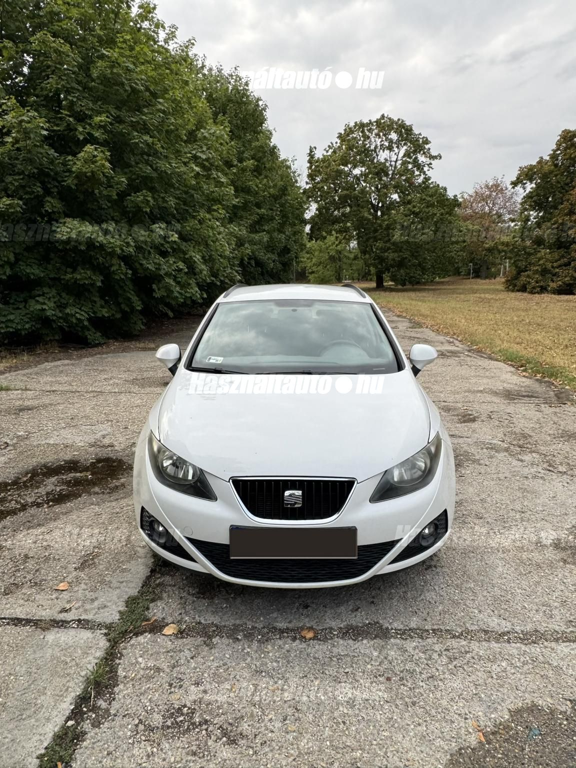 SEAT IBIZA 2011 - 1