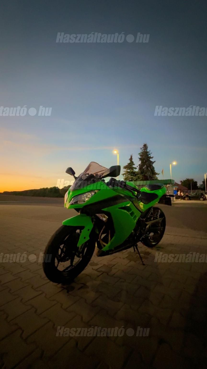 KAWASAKI NINJA 300 2013 - 1