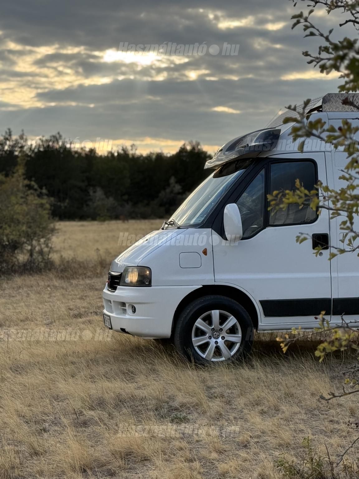 FIAT 2006/3 - 1