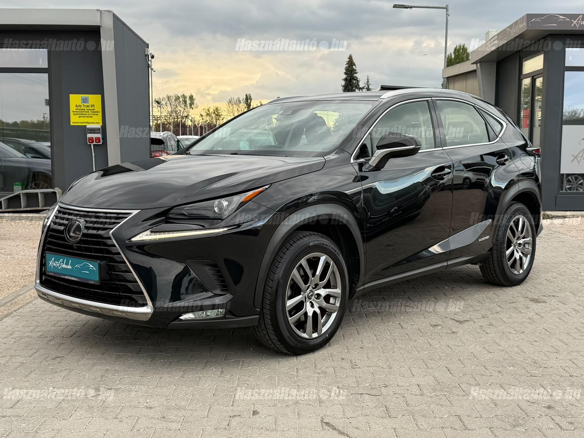 LEXUS NX 2020/9 - 1