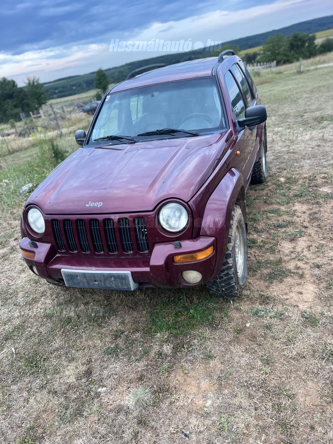JEEP CHEROKEE 2001/5 - 1