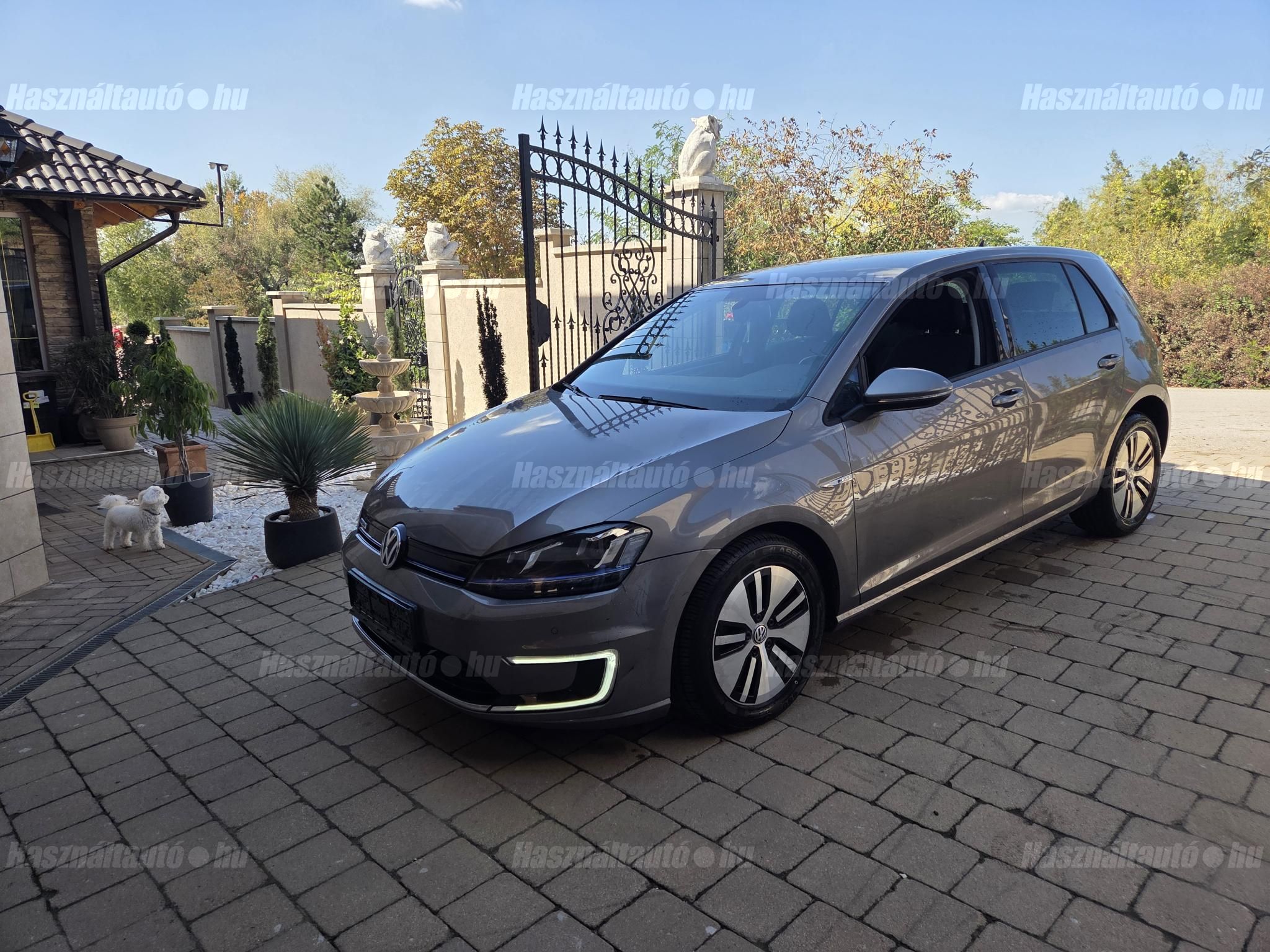 VOLKSWAGEN GOLF VII 2014/6 - 1