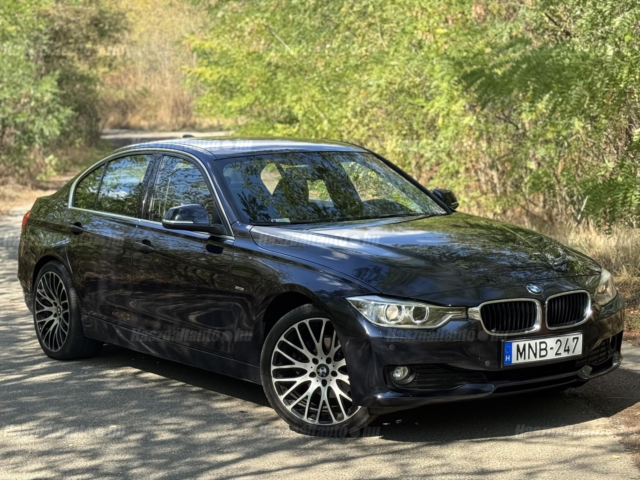 BMW 318 2013/12 - 1