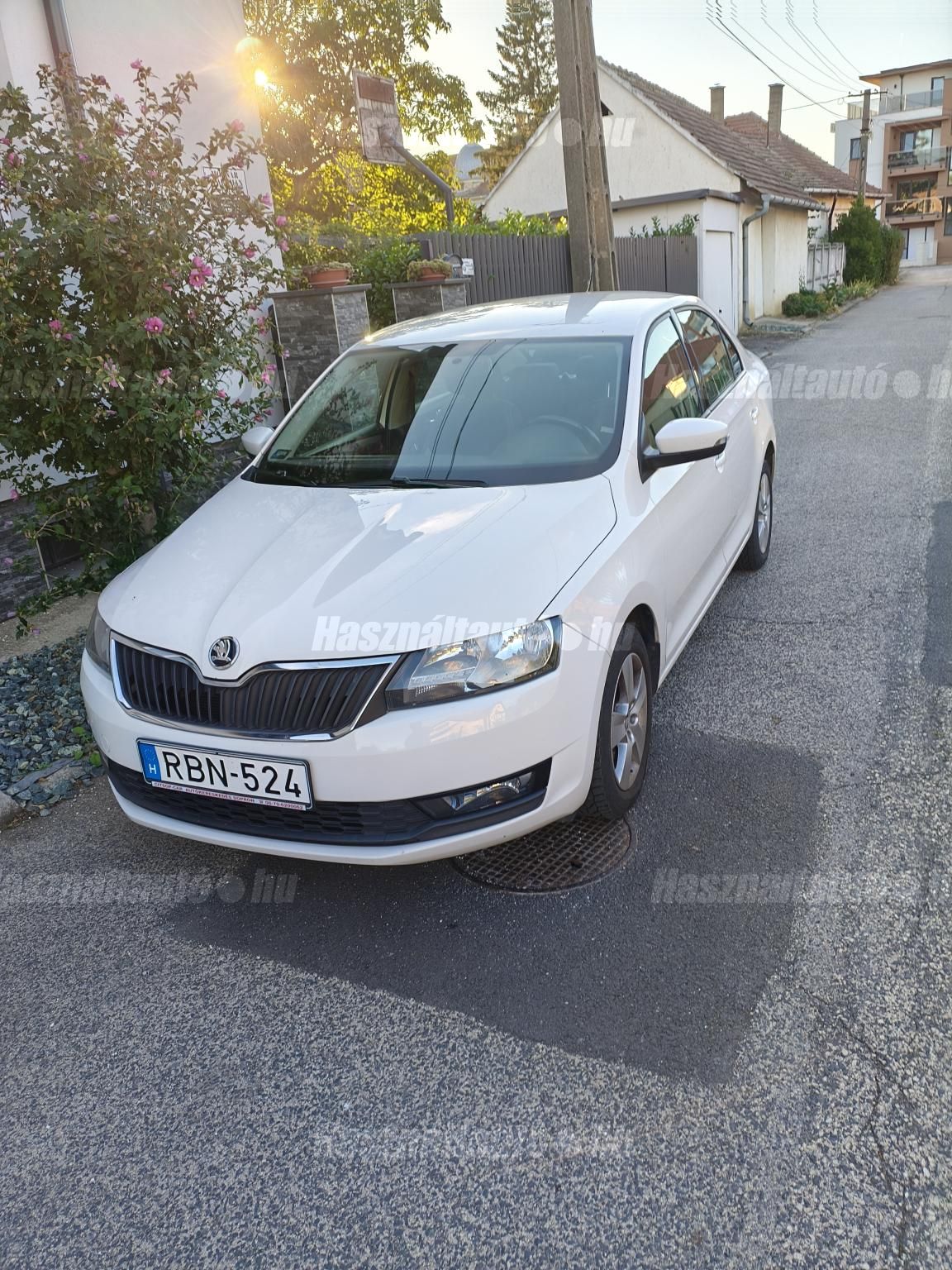 SKODA RAPID 2019/3 - 1