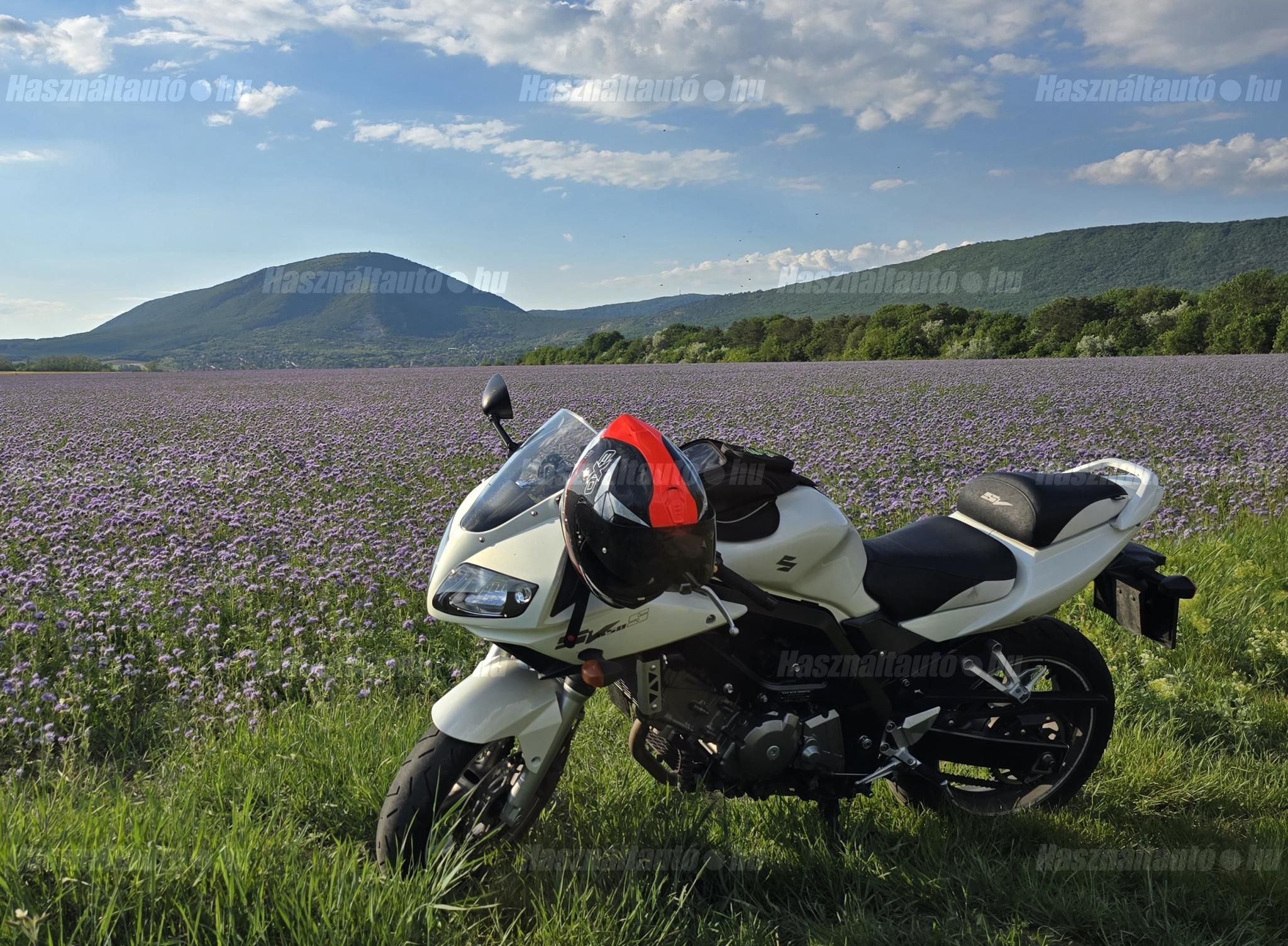 SUZUKI SV 650 S 2008/5 - 1