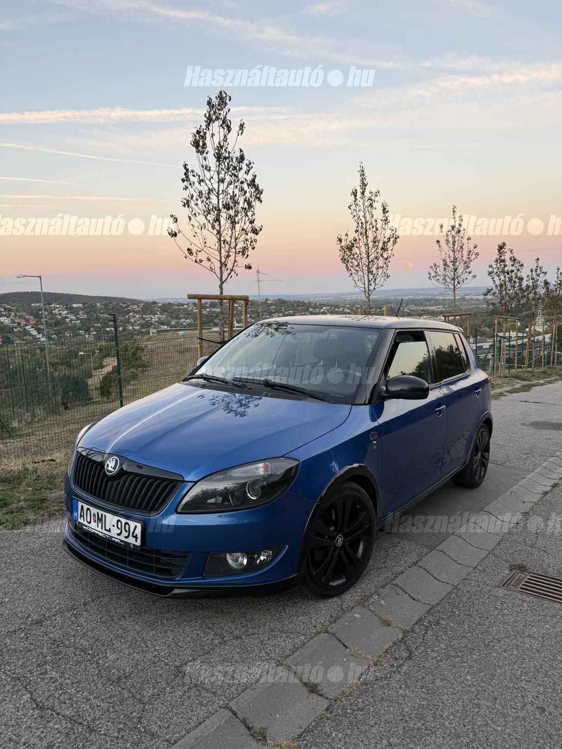 SKODA FABIA 2013/10 - 1